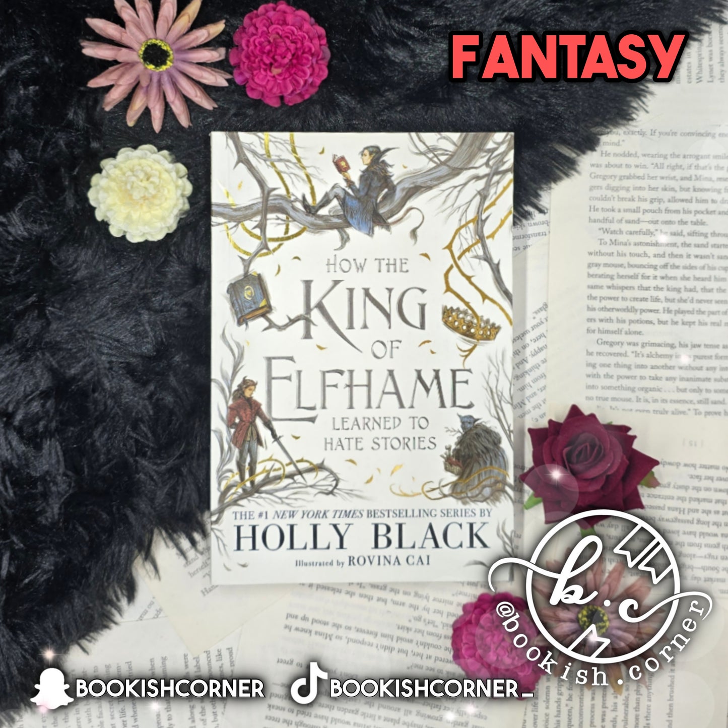 How The King Of Elfhame Learned To Hate Stories By Holly Black