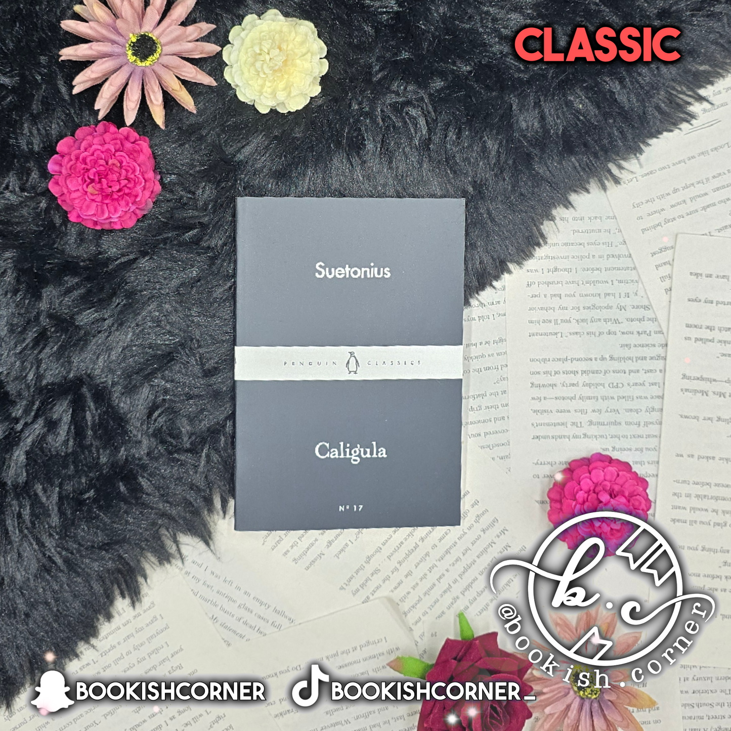 Caligula By Suetonius
