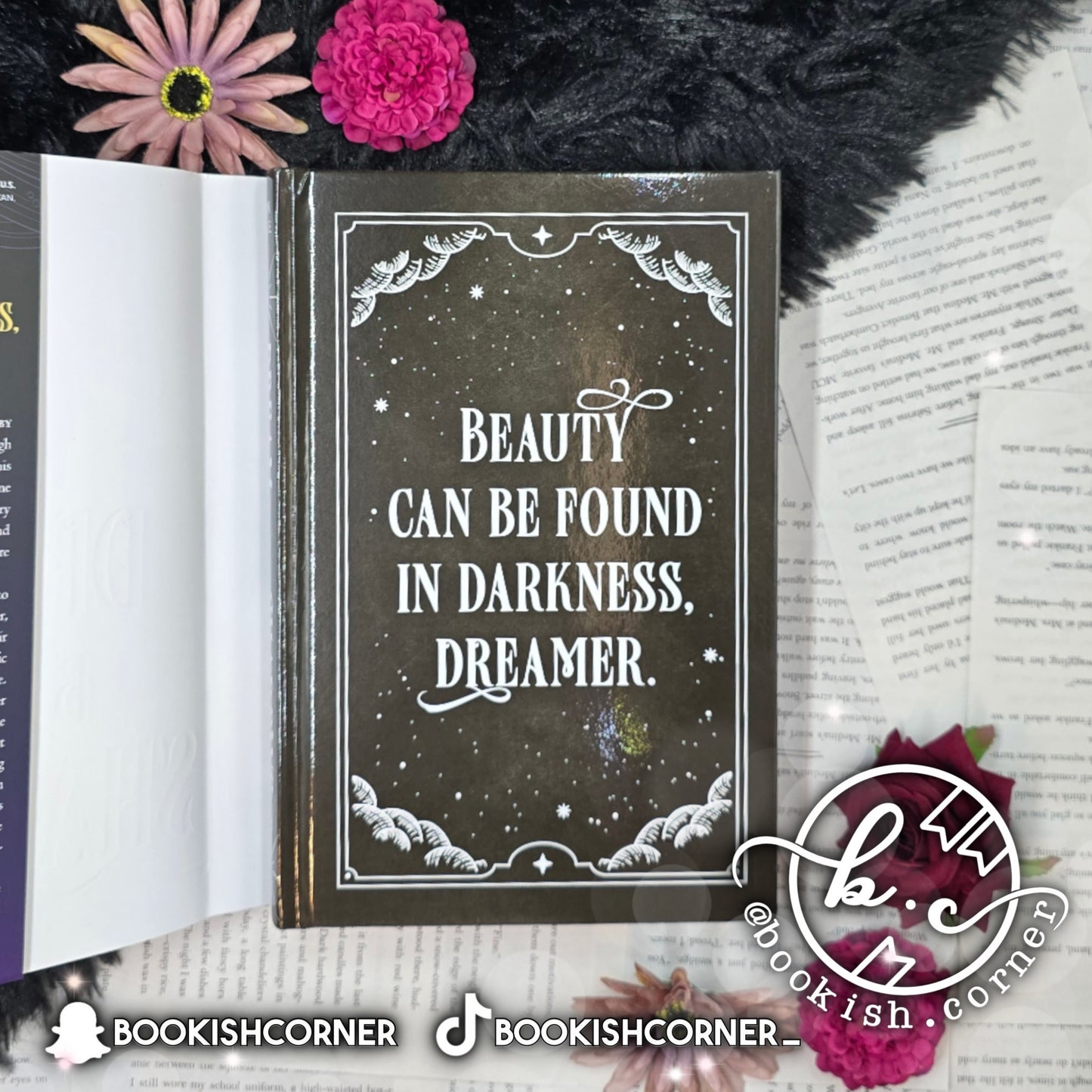 Dream by the Shadows By Logan Karlie