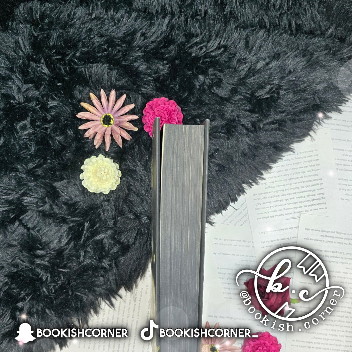 Wild Reverence By Rebecca Ross