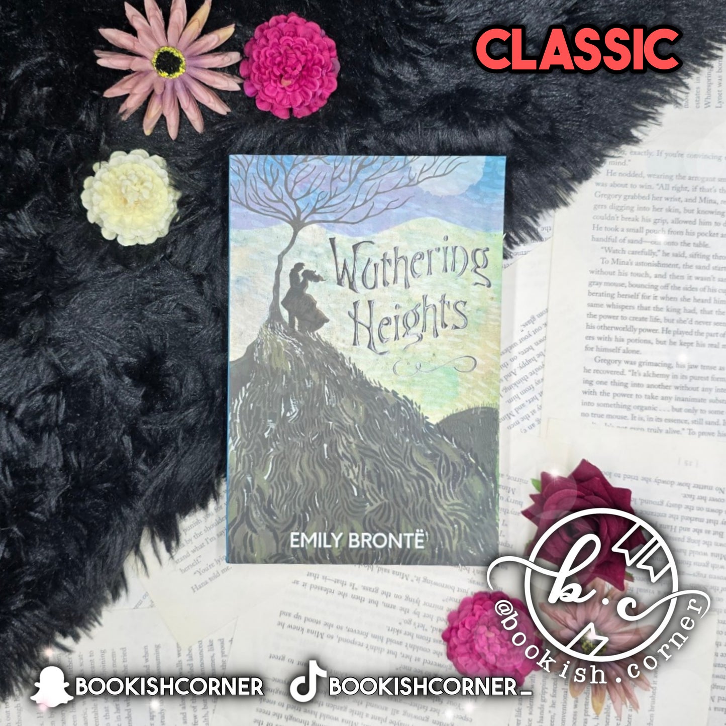 Wuthering Heights By Emily Bronte
