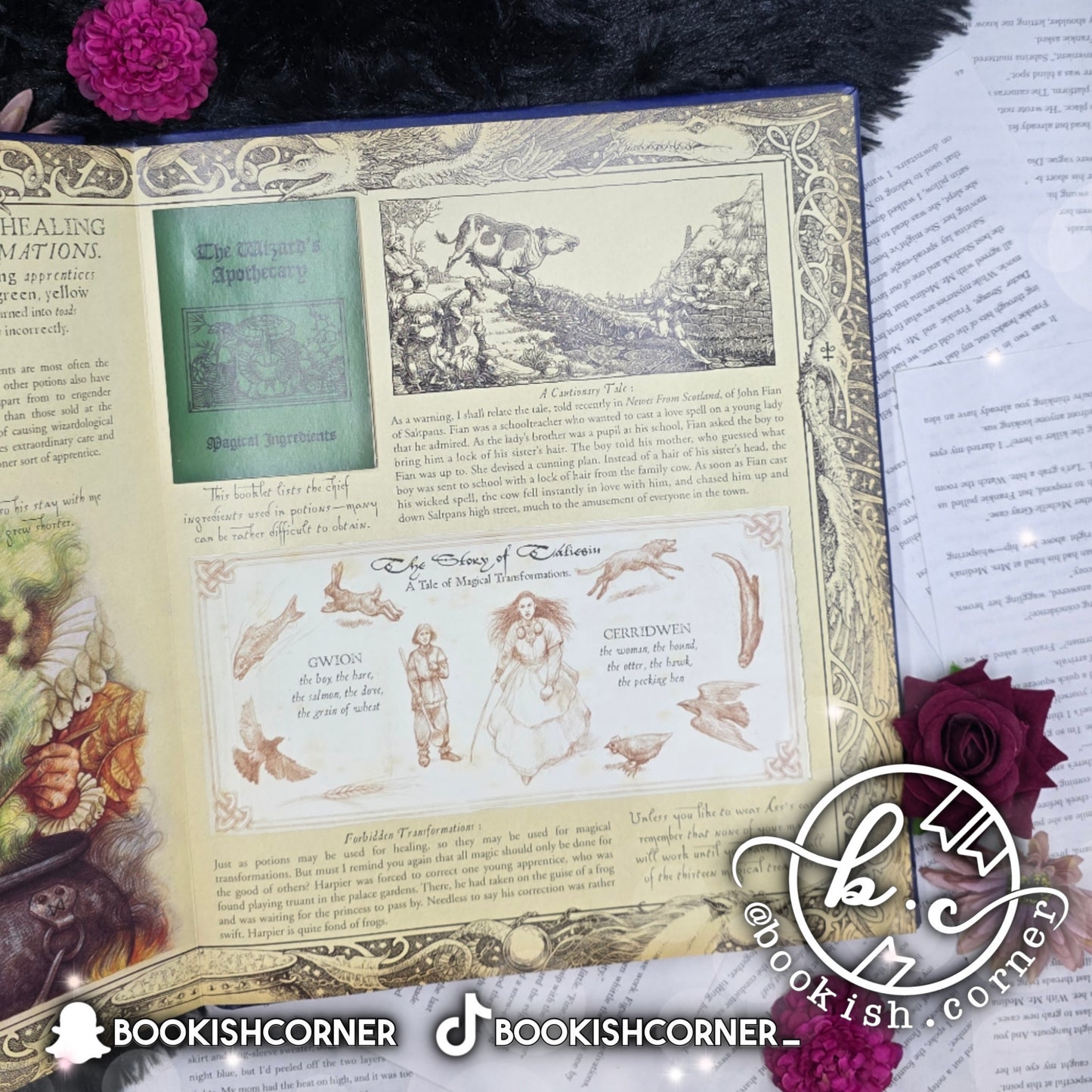 Wizardology By Master Merlin