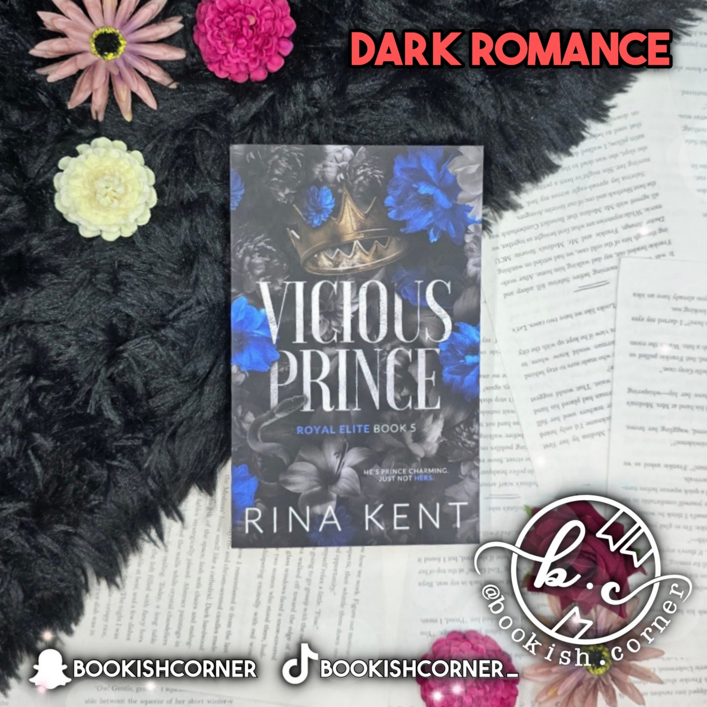 Vicious Prince By Rina Kent