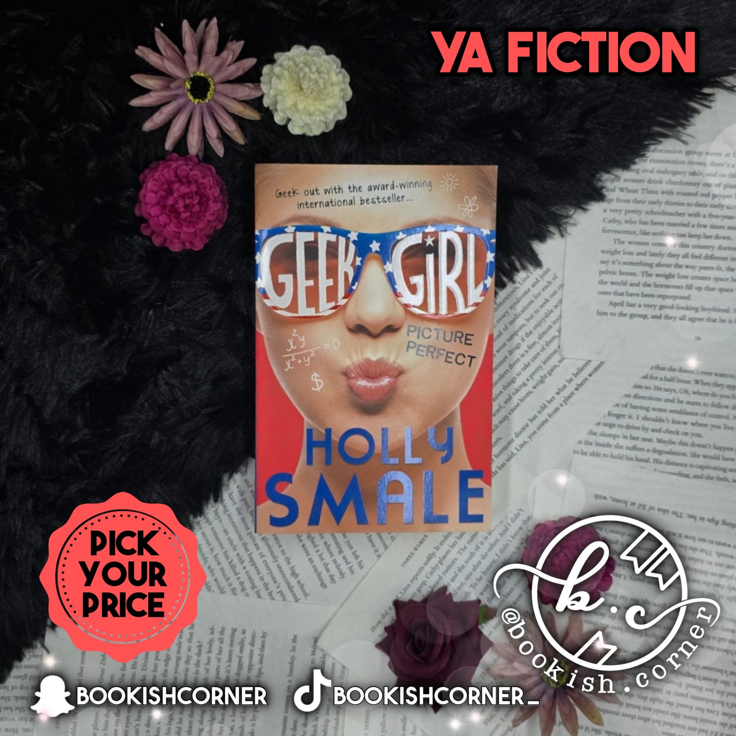 Picture Perfect By Holly Smale