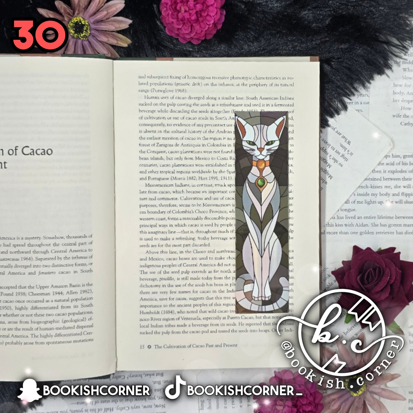 Cat Bookmarks