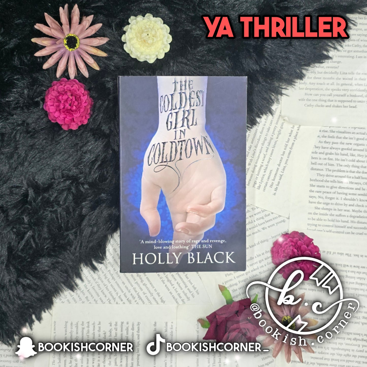 The Coldest Girl In Coldtown By Holly Black