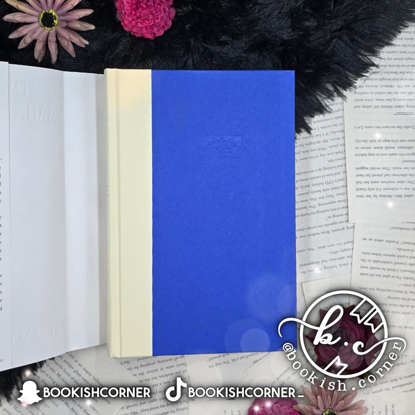 The Adventures of Amina Al-Sirafi By Shannon Chakraborty