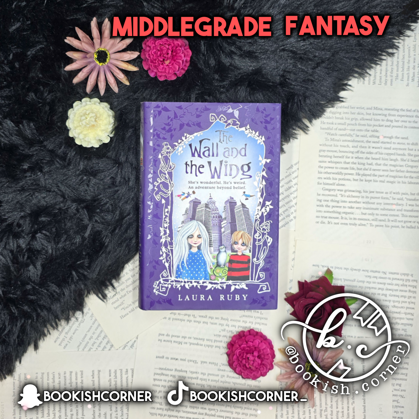 The Wall And The Wing By Laura Ruby