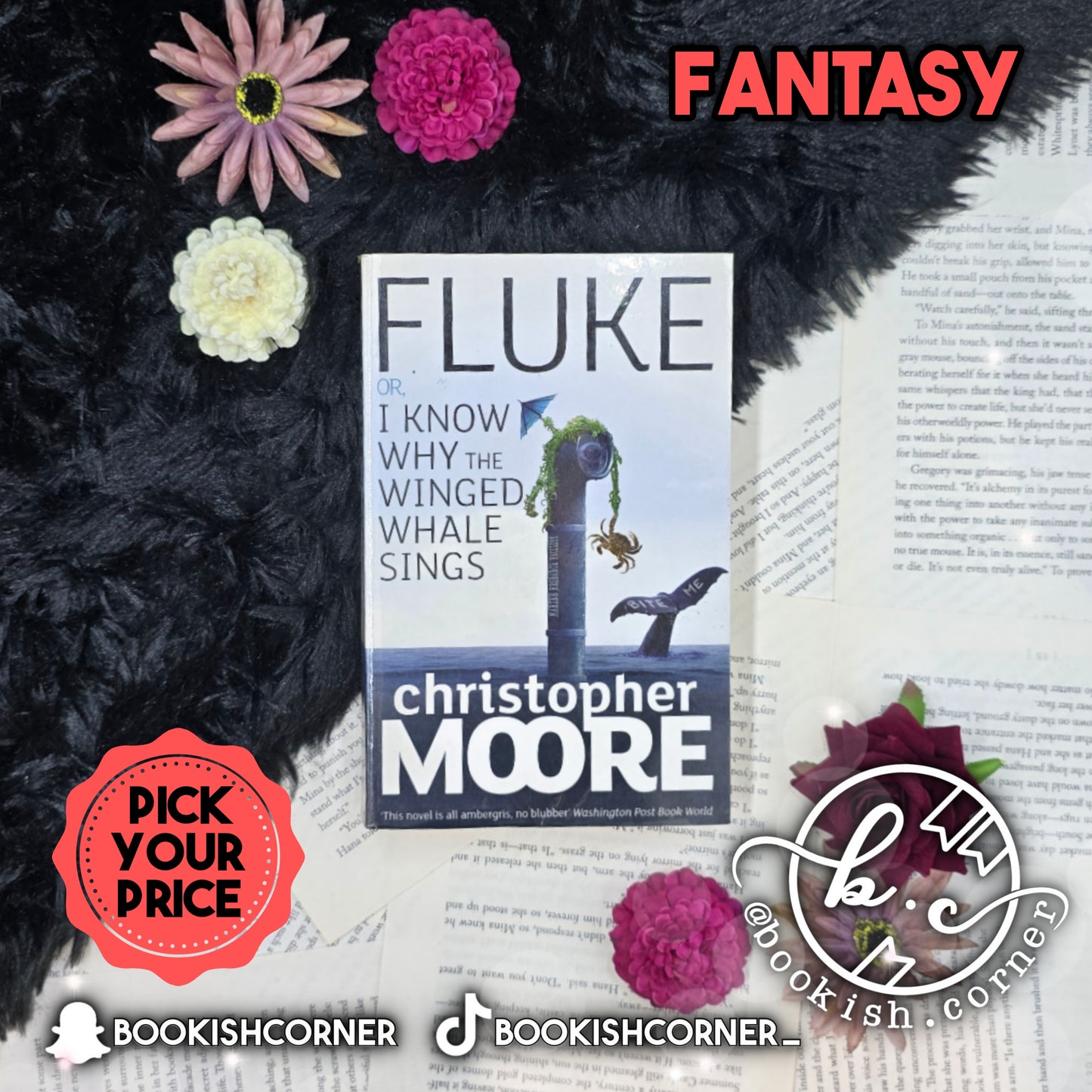 Fluke Or I Know Why the Winged Whale Sings By Christopher Moore