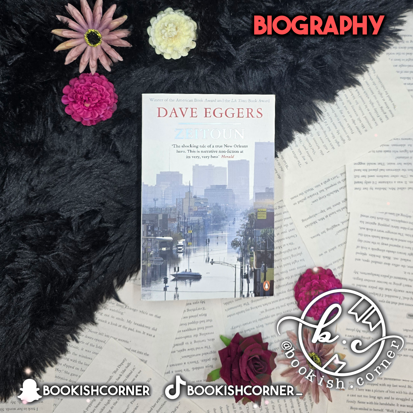 Zeitoun By Dave Eggers