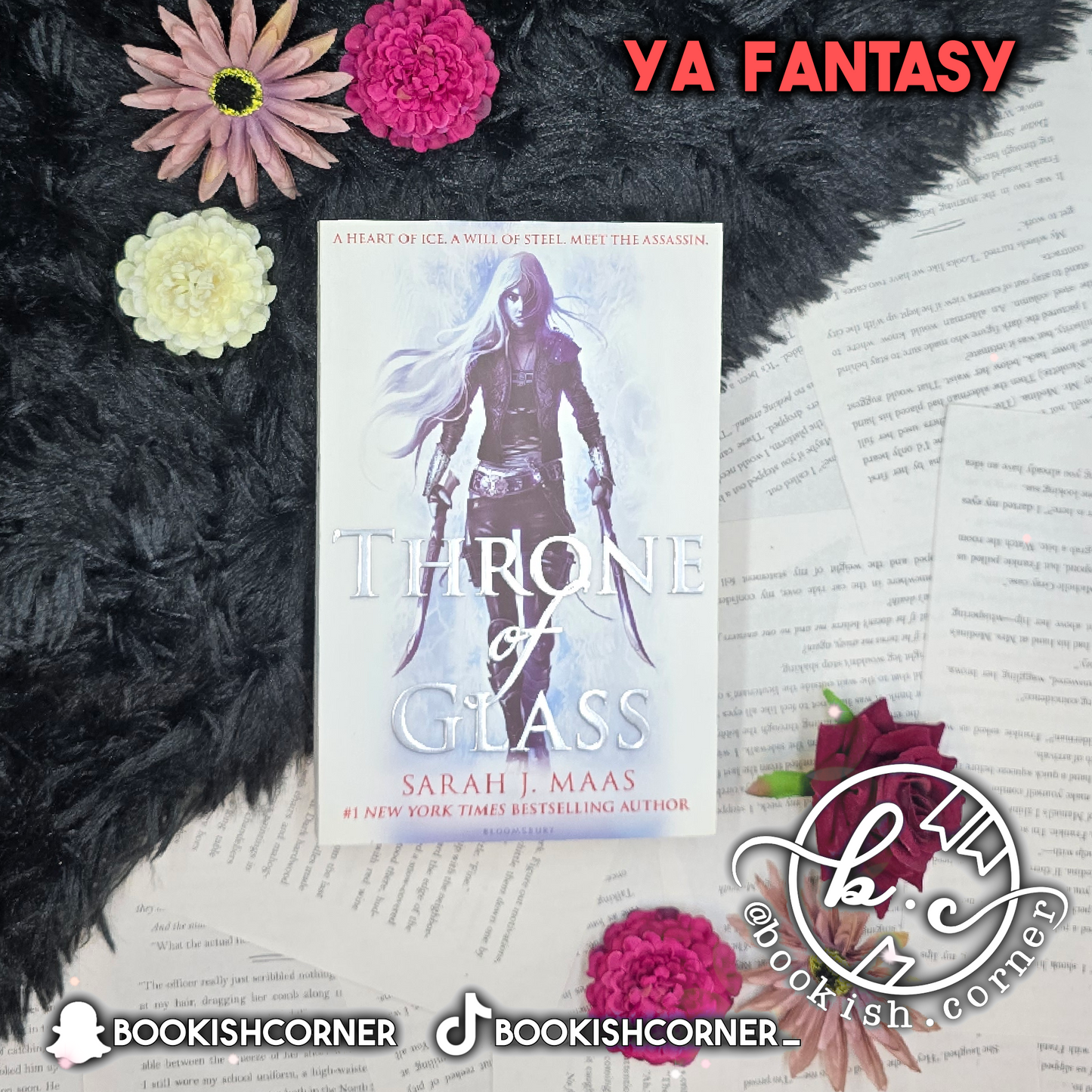 Throne of Glass By Sarah J Maas