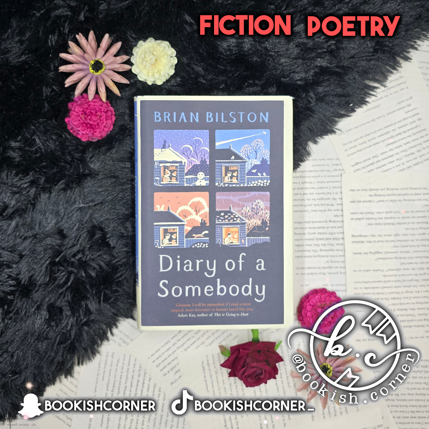 Diary of a Somebody By Brian Bilston