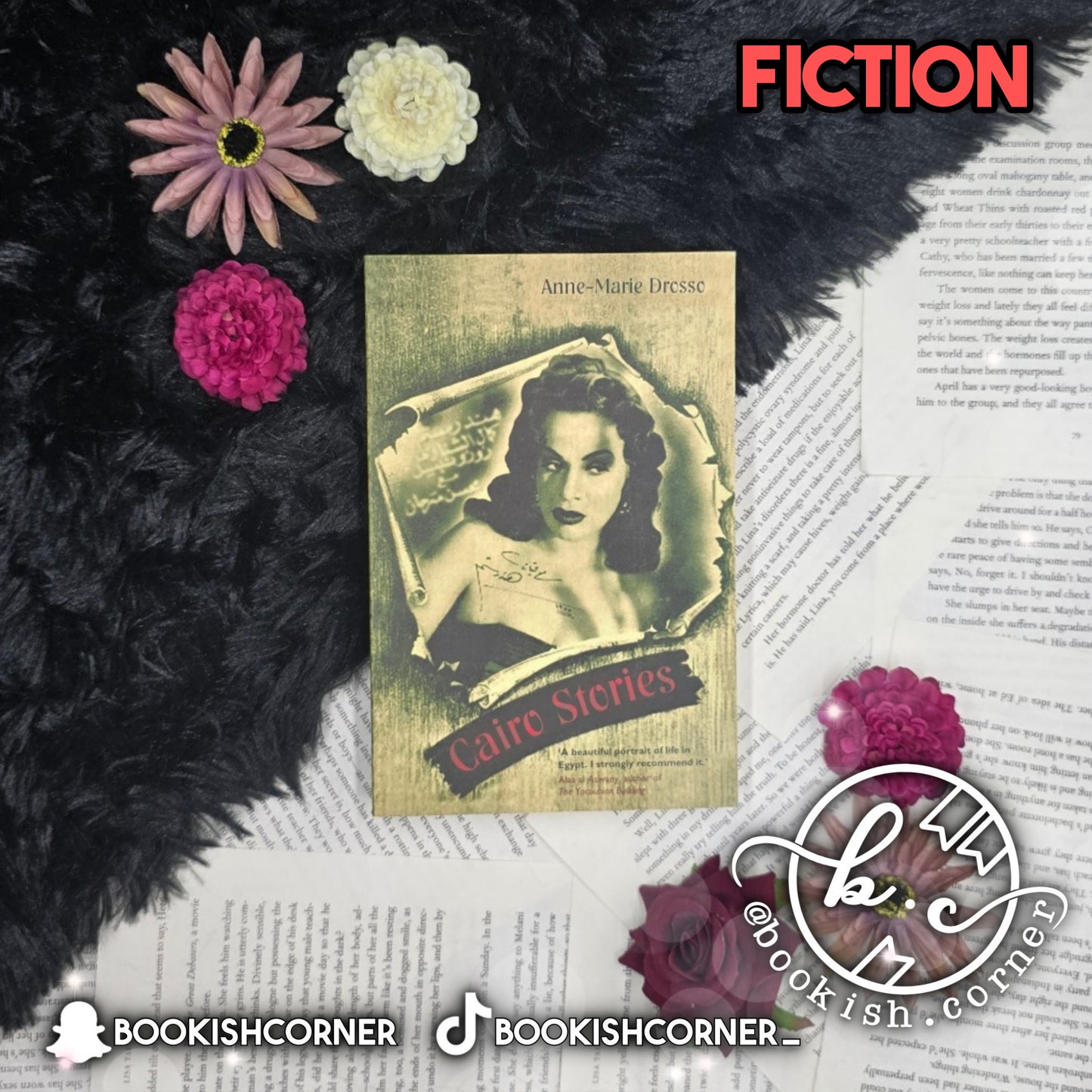 Cairo Stories By Anne Marie Drosso