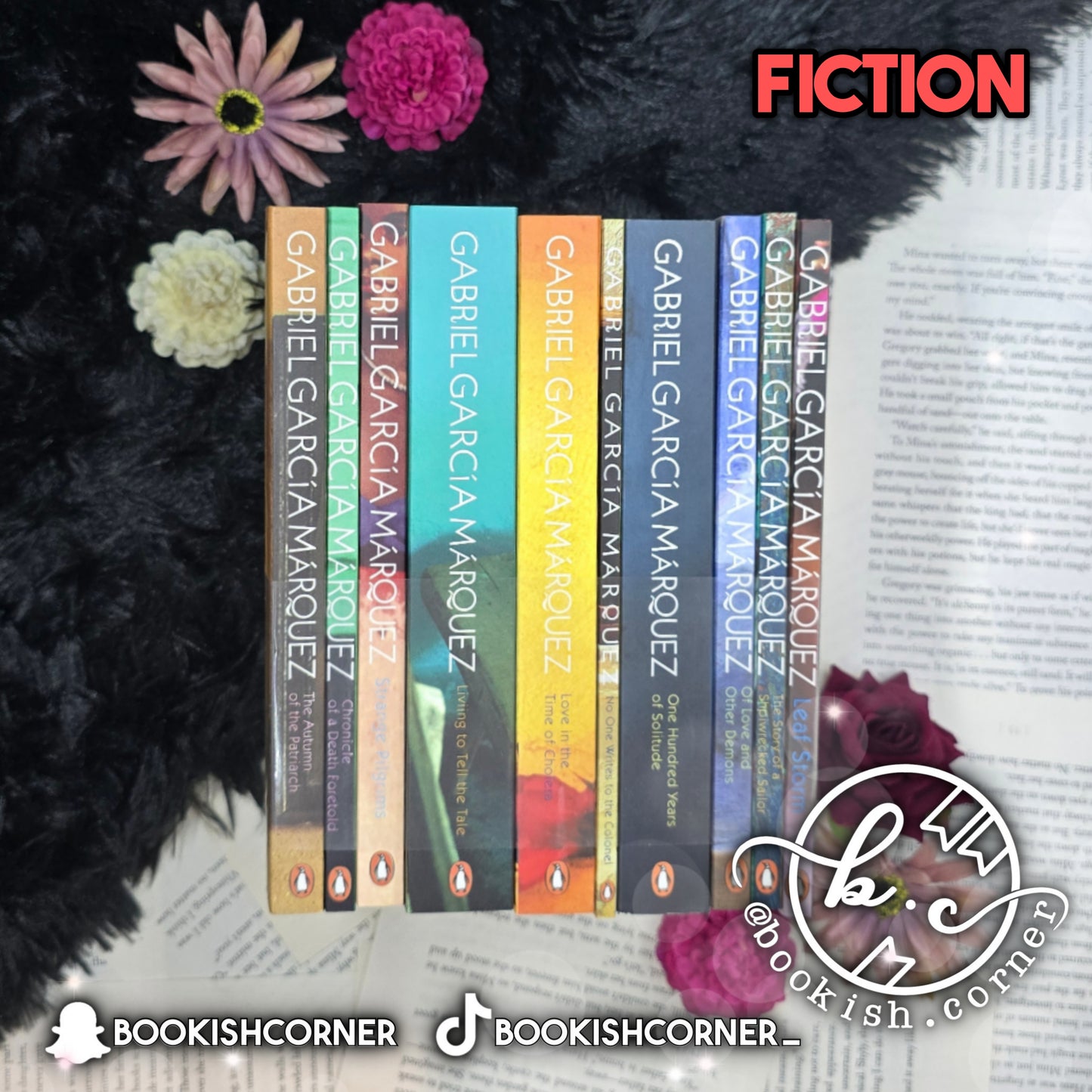 Gabriel Garcia Marquez Set