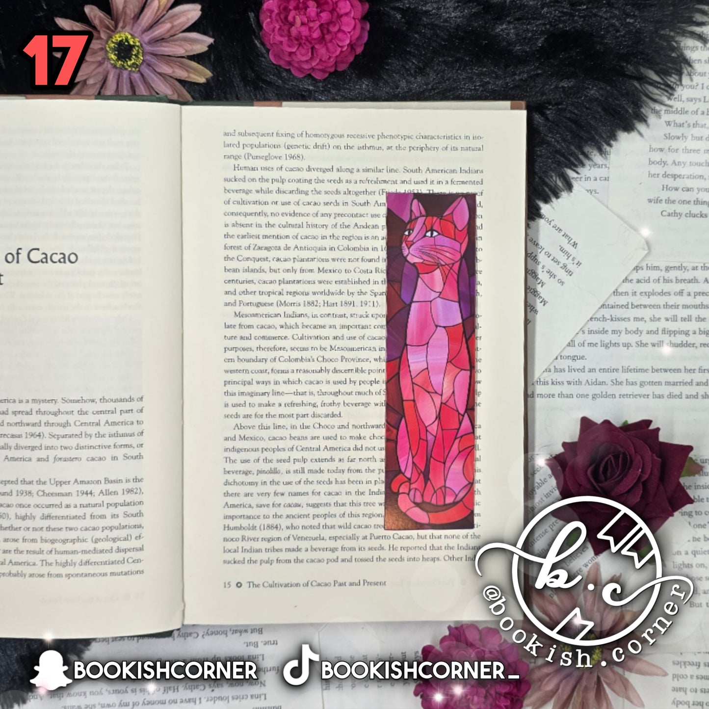 Cat Bookmarks
