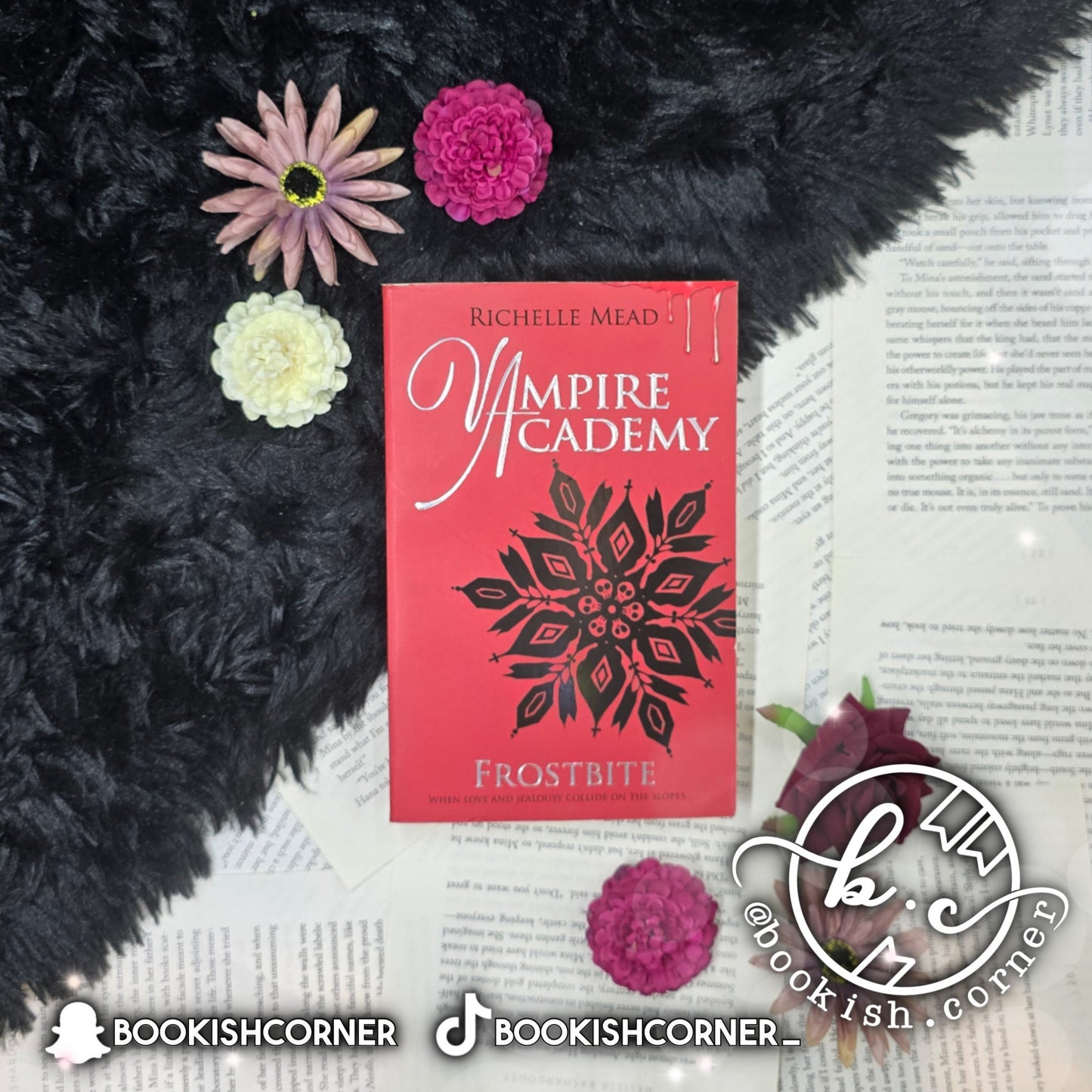 Vampire Academy Books By Richelle Mead