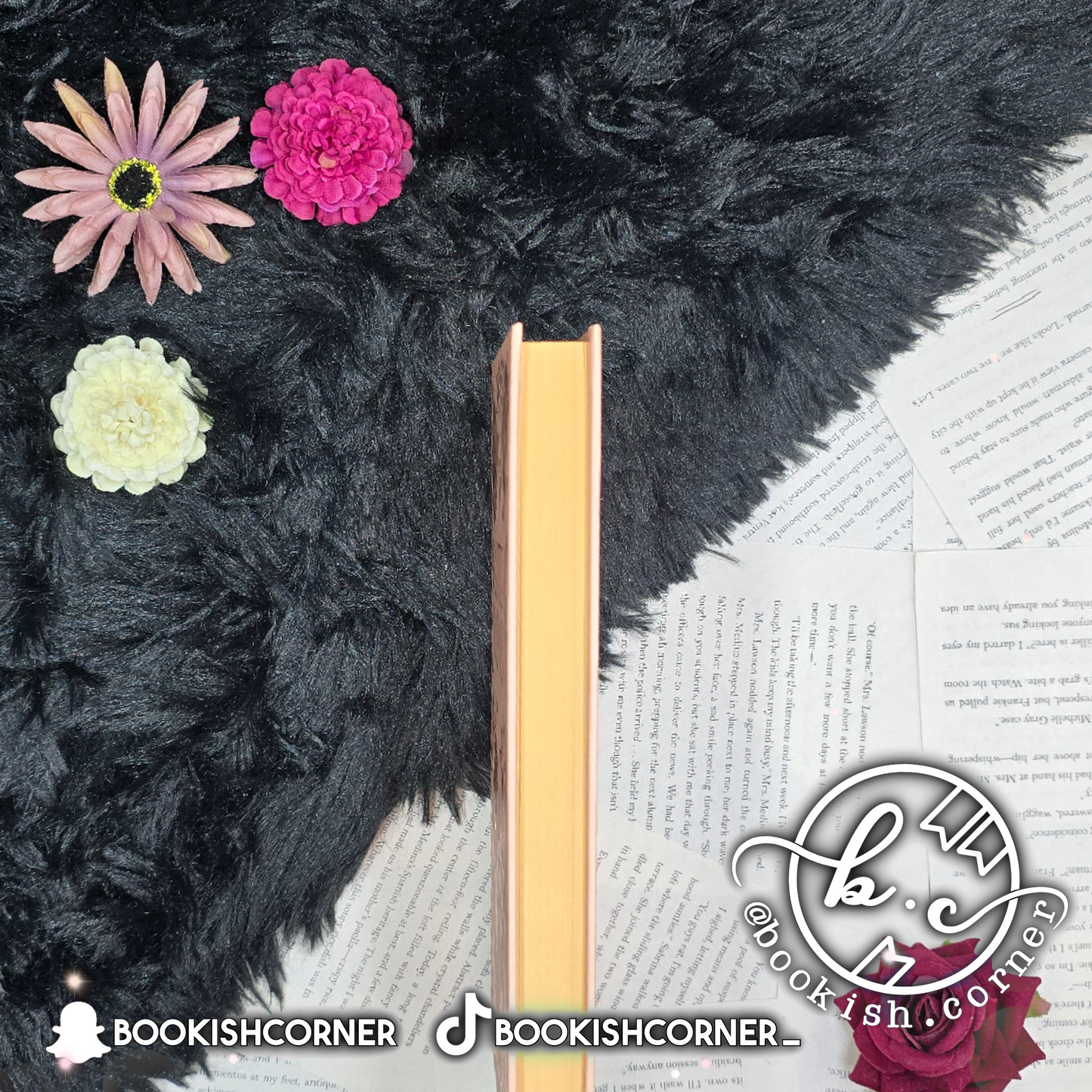 Little Women By Louisa May Alcott