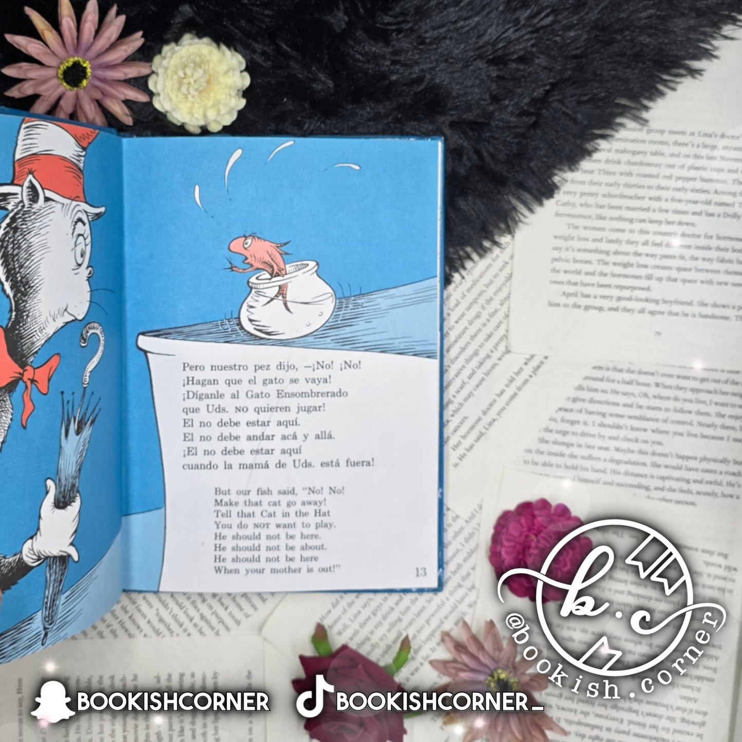 The Cat In The Hat By Seuss