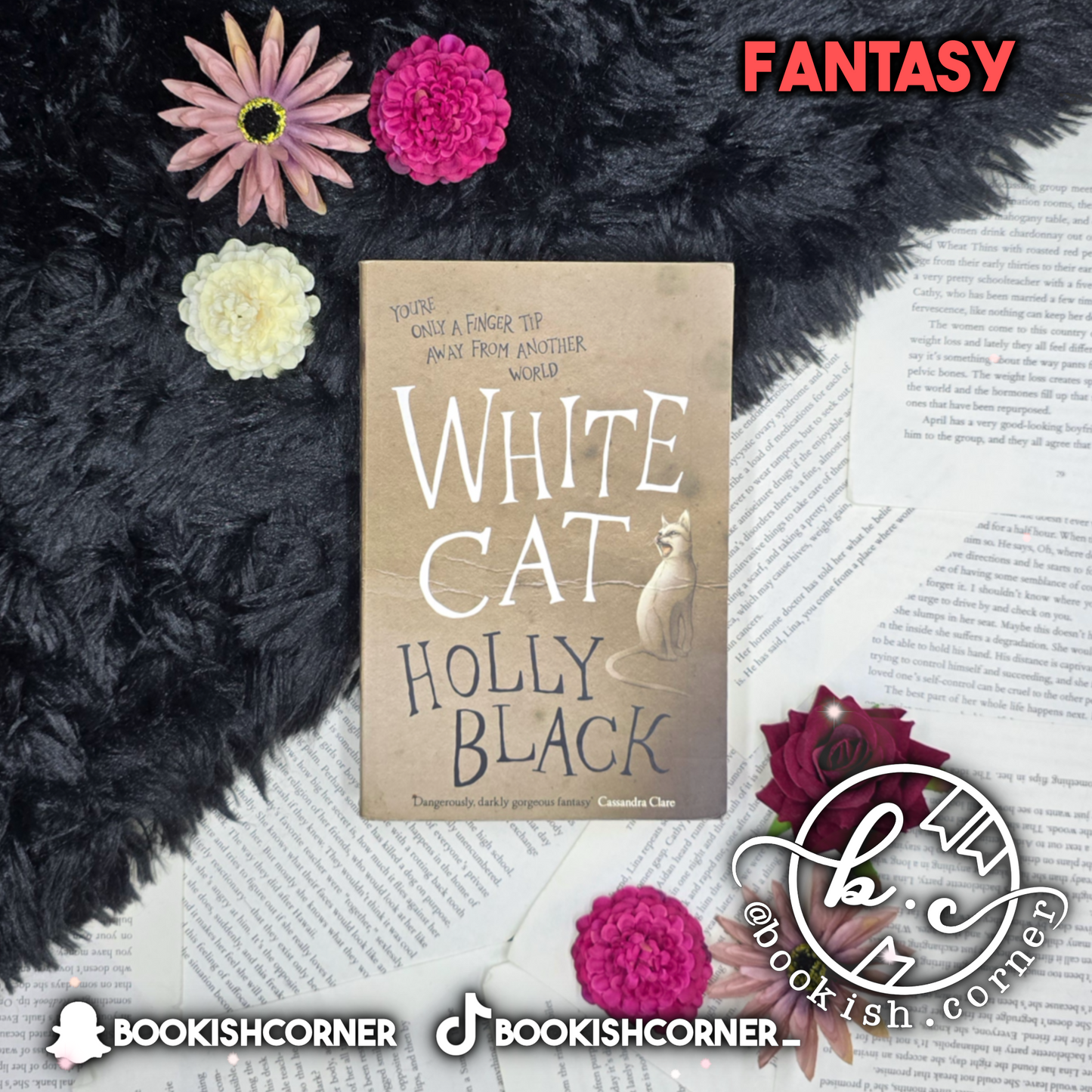 White Cat By Holly Black