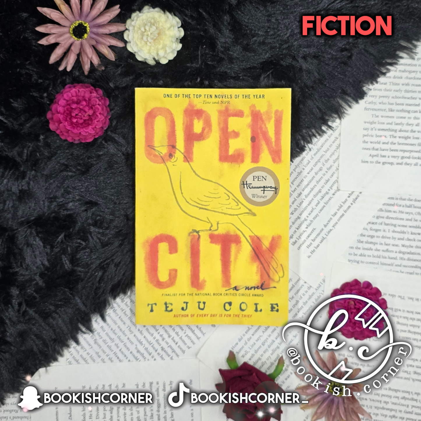 Open City By Teju Cole