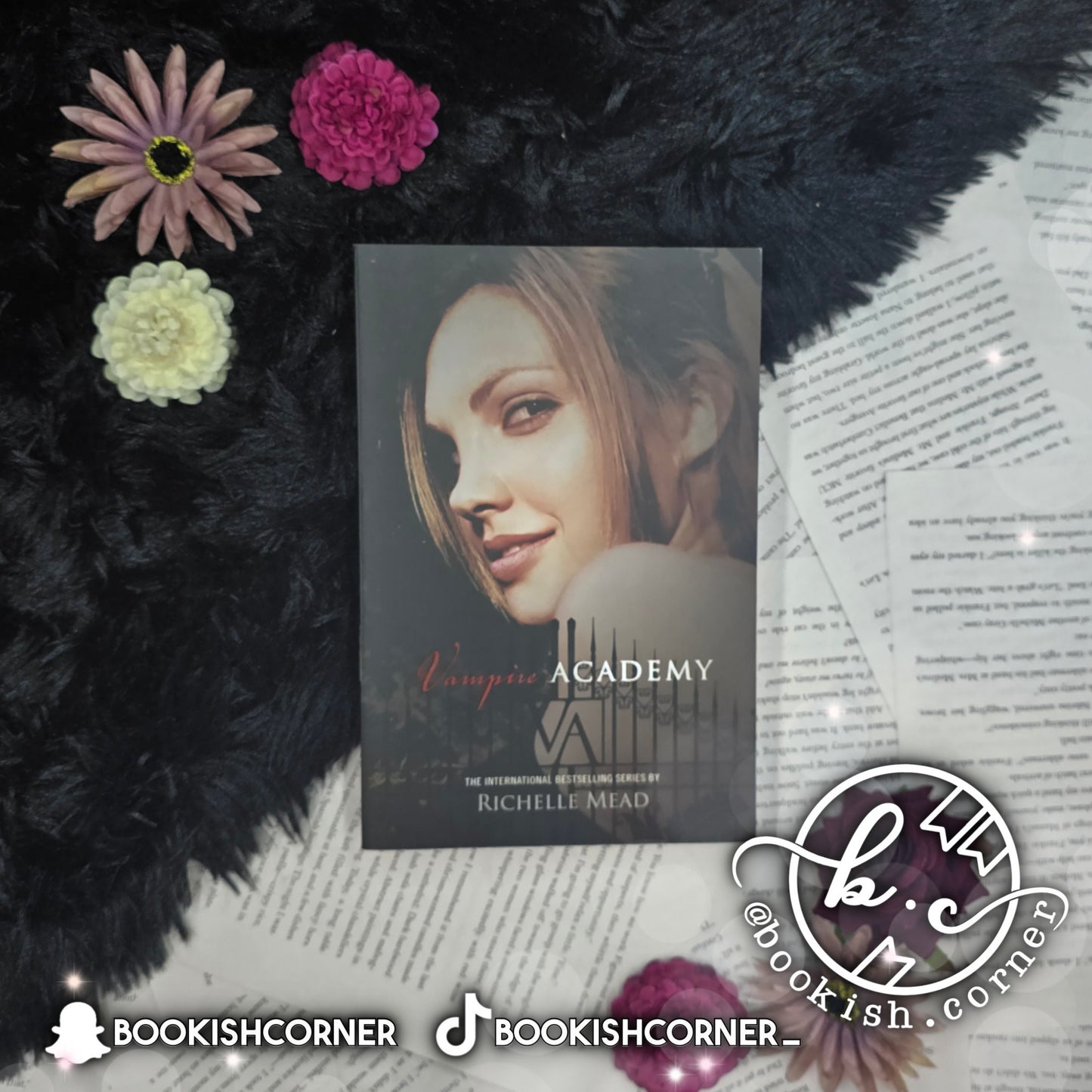 Vampire Academy (box) By Richelle Mead