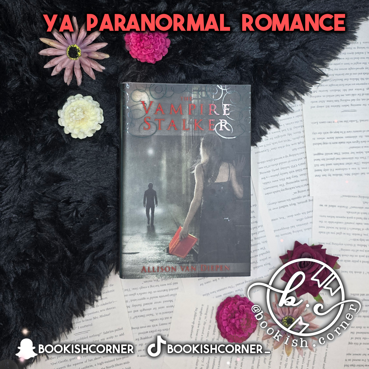 The Vampire Stalker By Allison van Diepen