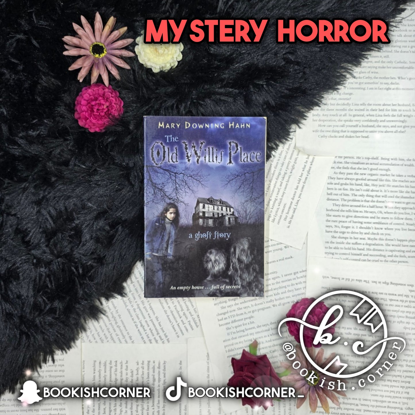 The Old Willis Place By Mary Downing Hahn