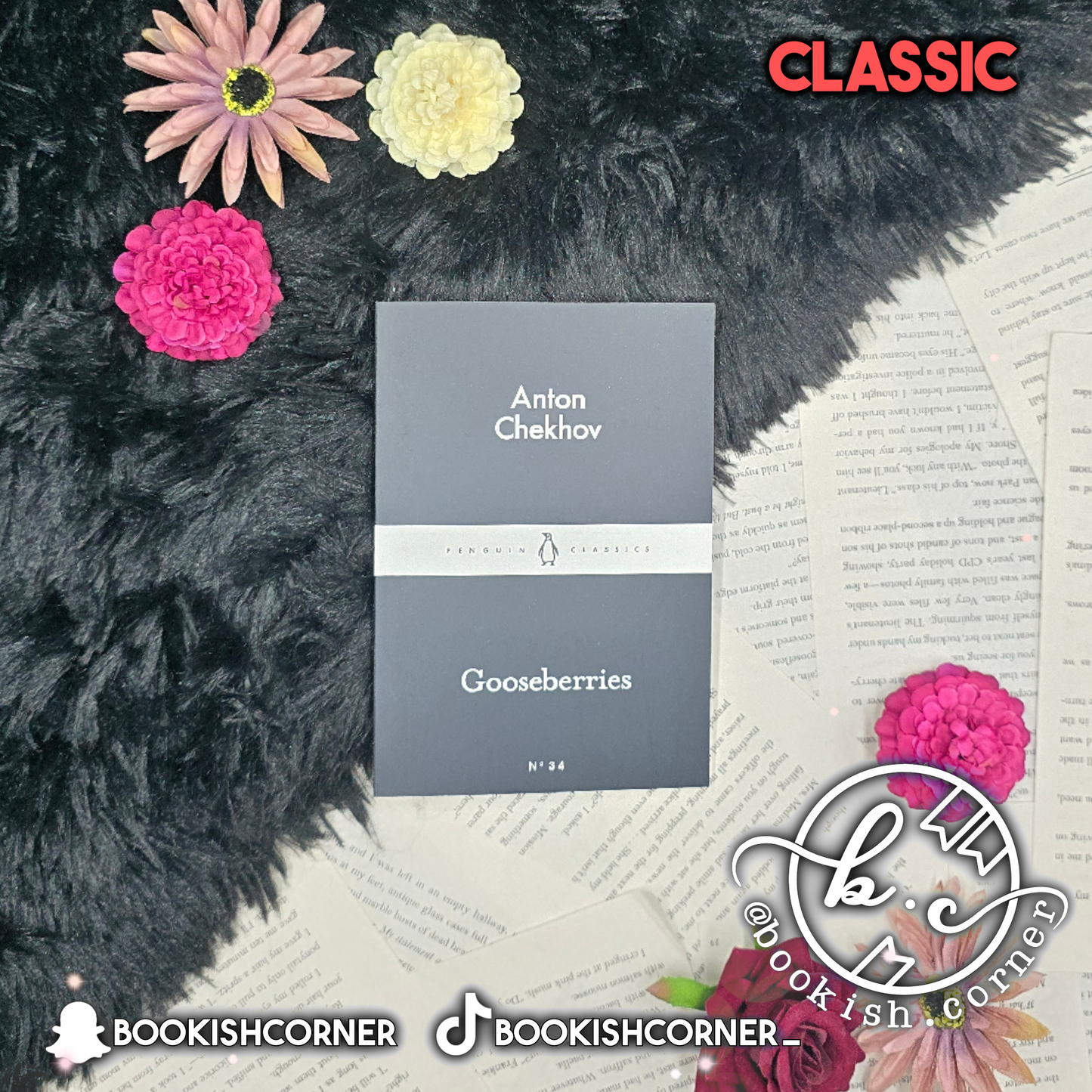 Gooseberries By Anton Chekhov