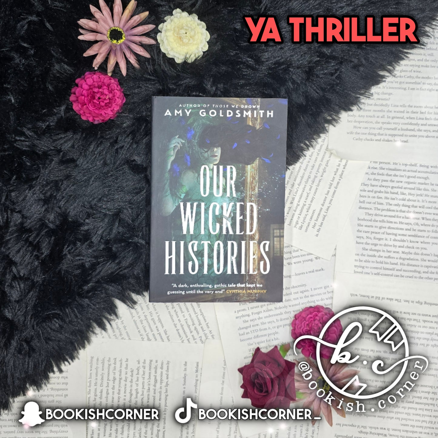 Our Wicked Histories By Amy Goldsmith