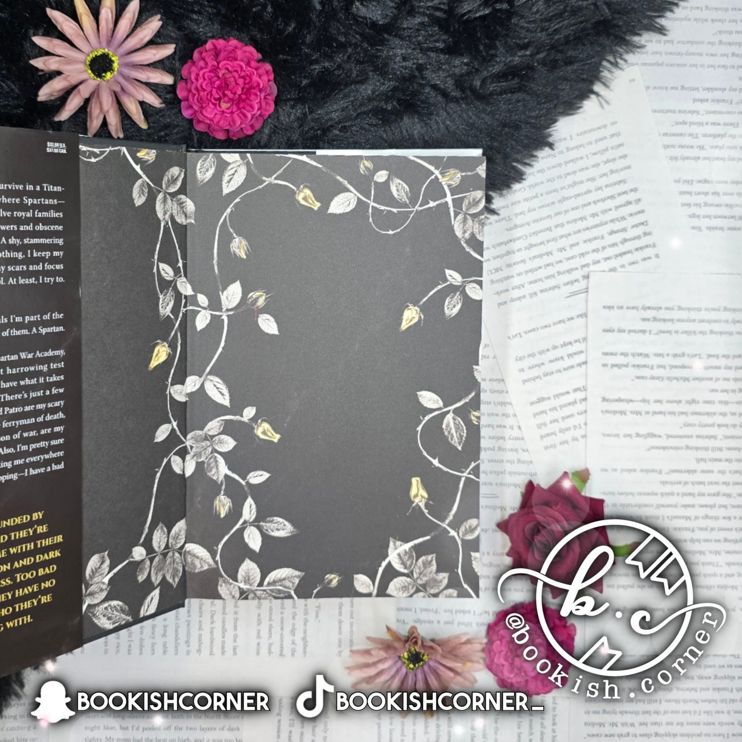 Blood Of Hercules By Jasmine Mas