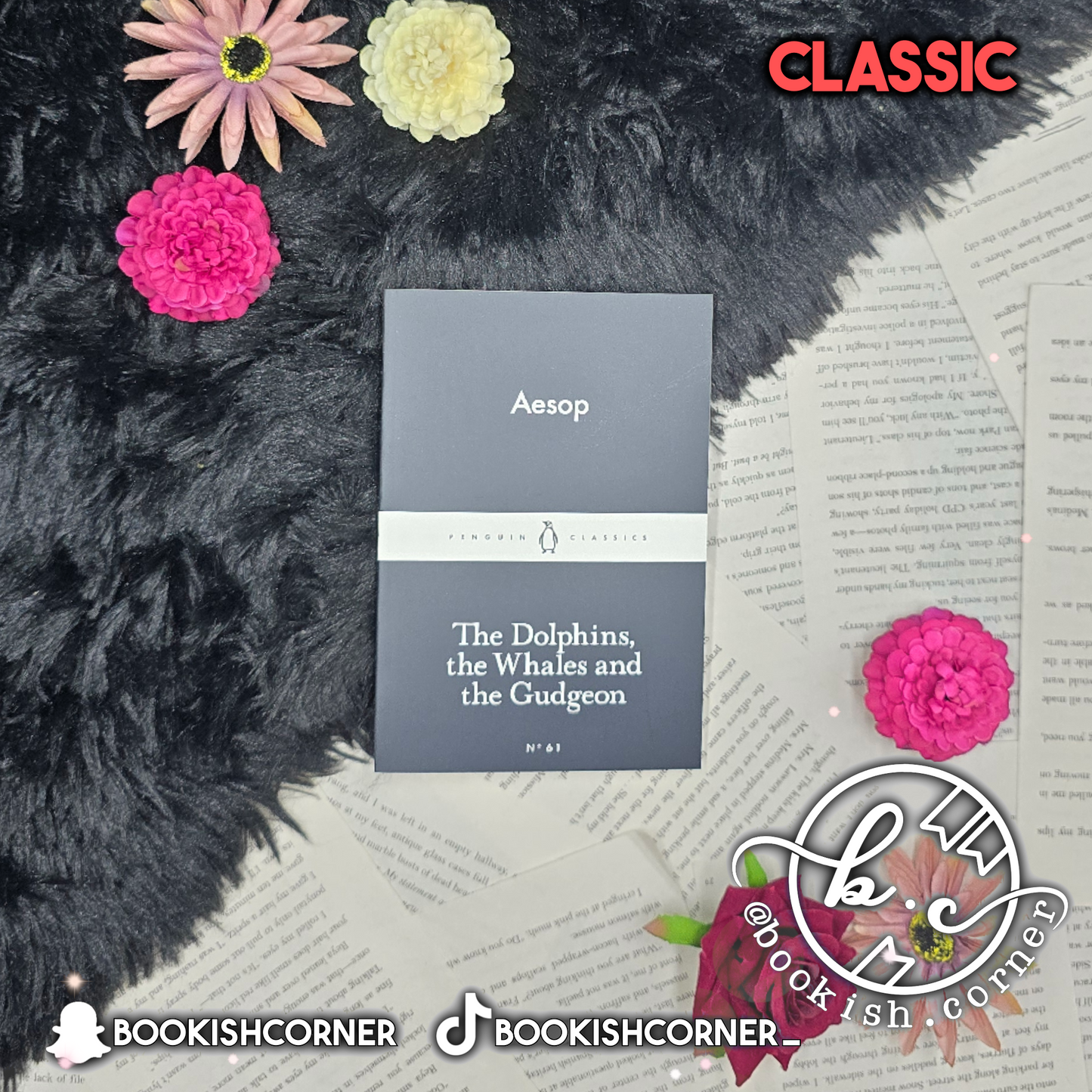 The Dolphins, the Whales and the Gudgeon By Aesop