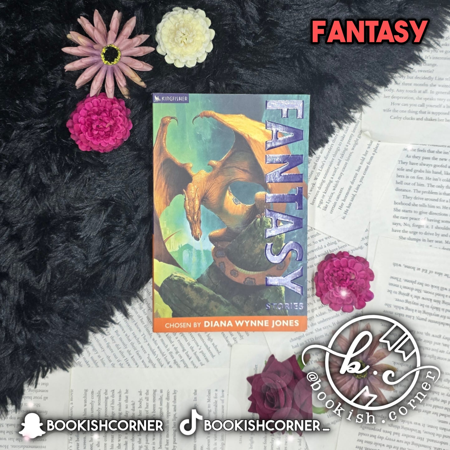 Fantasy Stories By Diana Wynne Jones