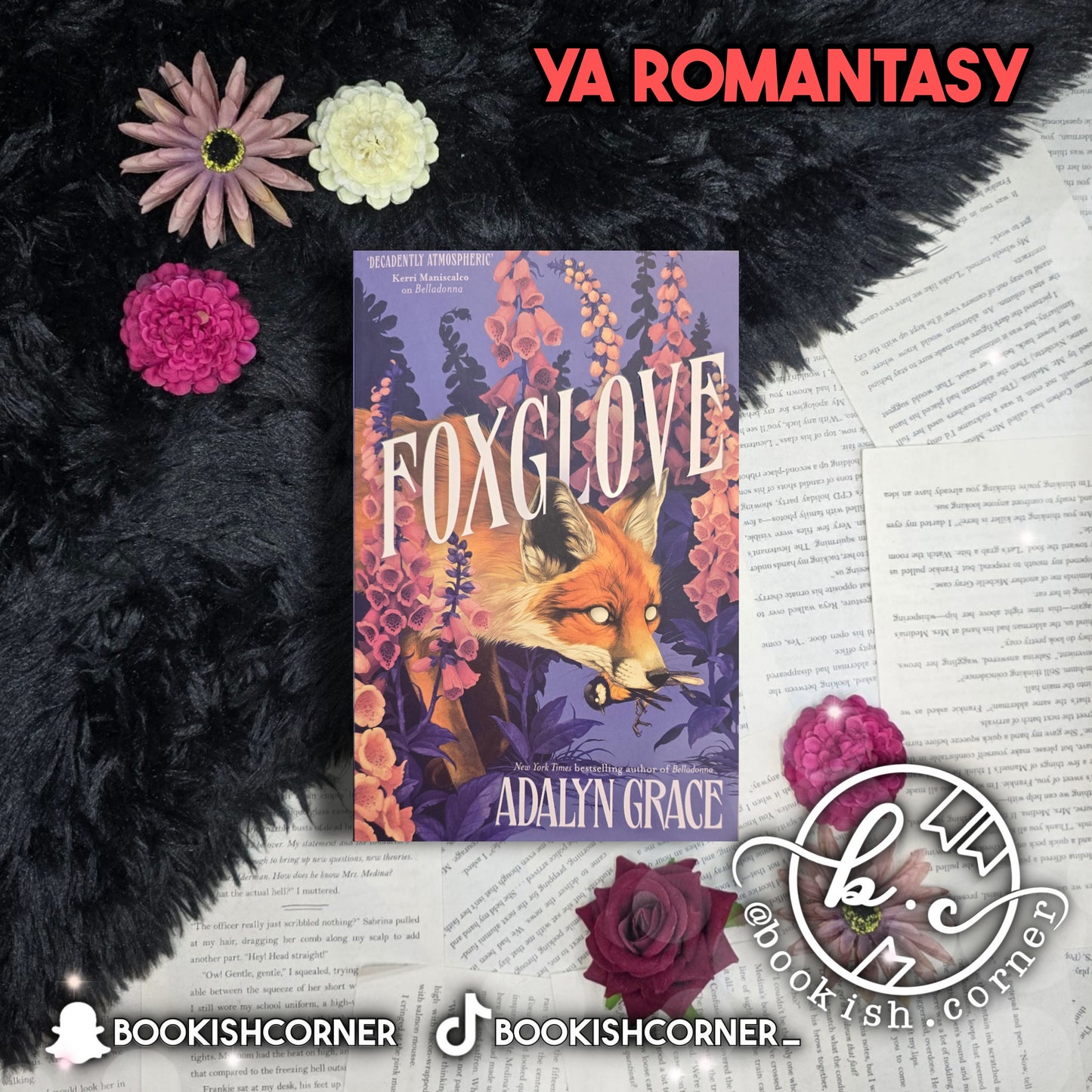 Foxglove By Adalyn Grace