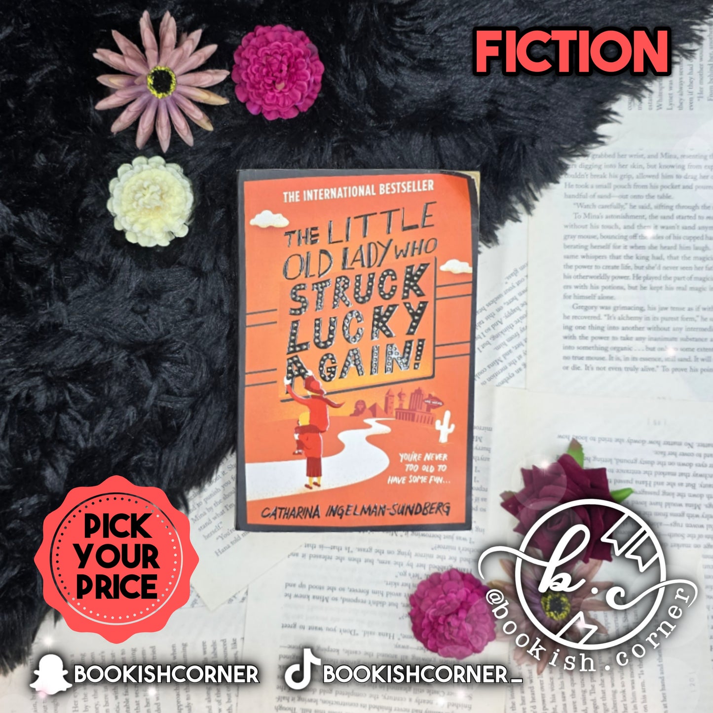 The Little Old Lady Who Broke All the Rules By Catharina Ingelman-Sundberg