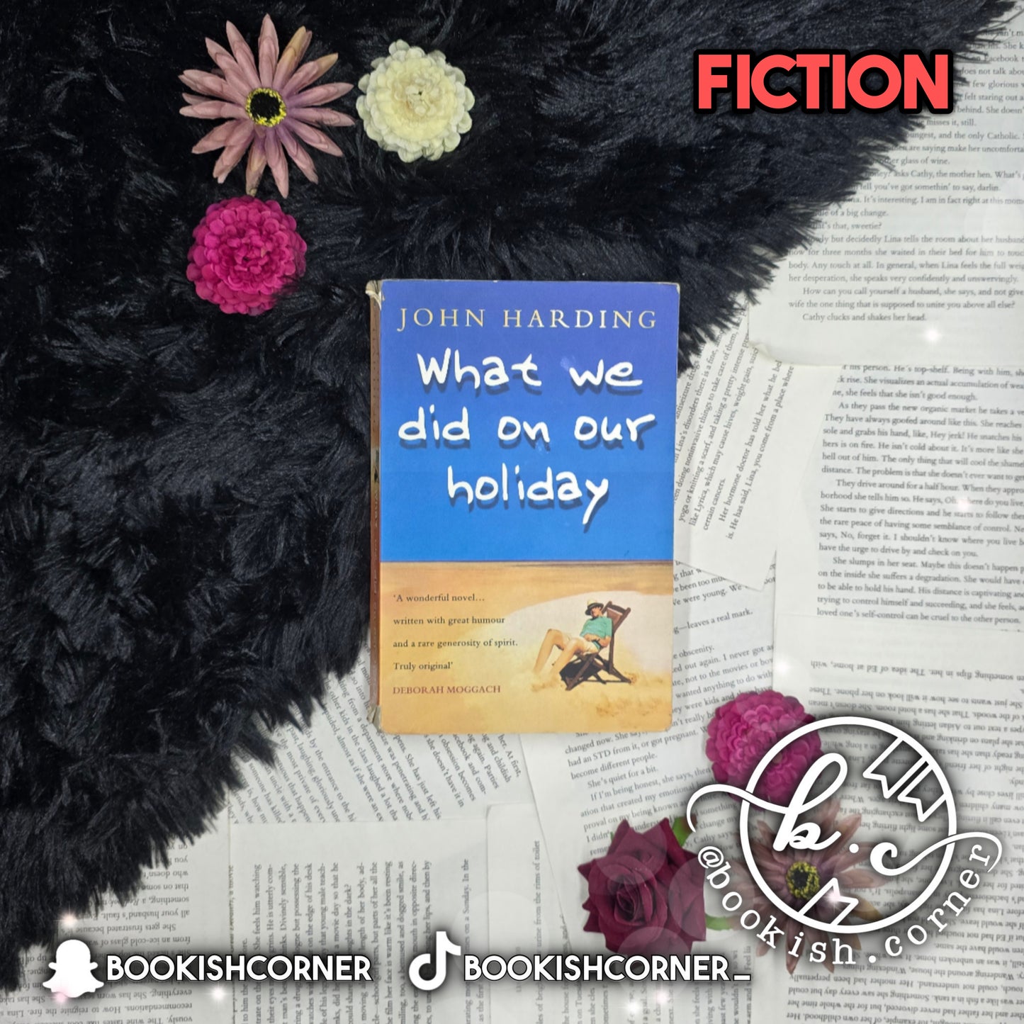 What We Did On Our Holiday By John Harding