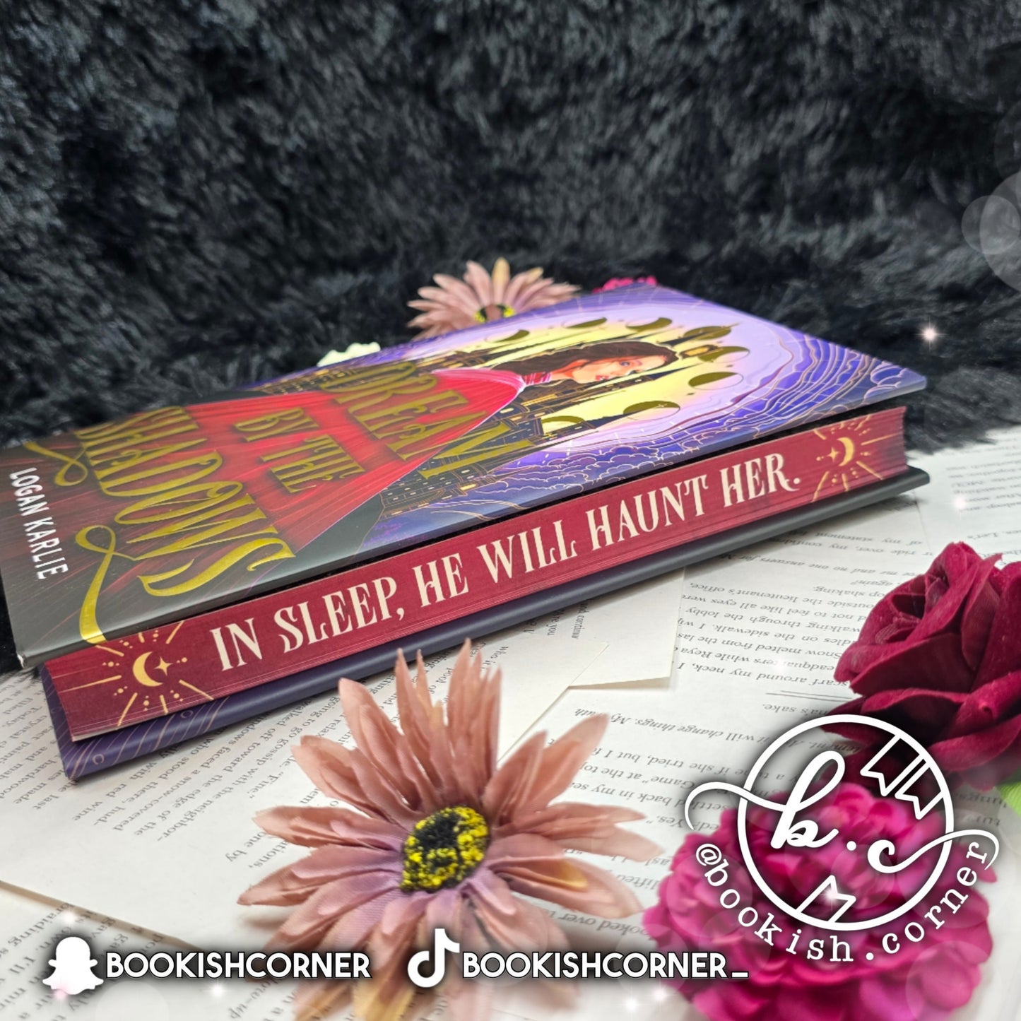 Dream by the Shadows By Logan Karlie