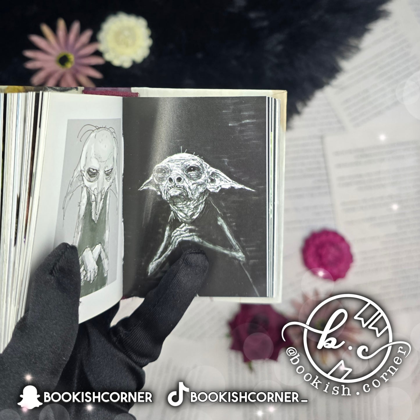 The Art of Harry Potter : Mini Book of Creatures
