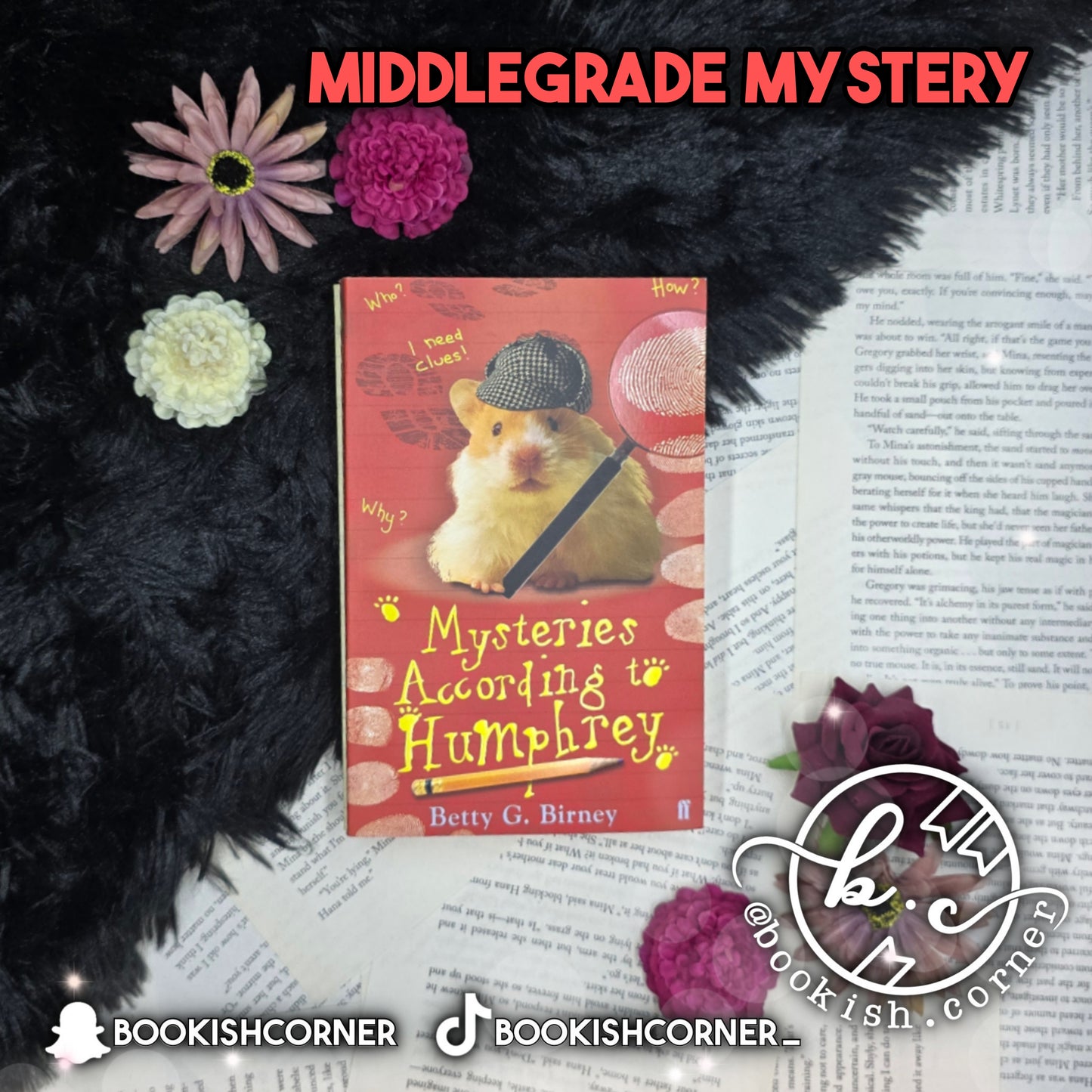 Mysteries According to Humphrey By Betty G Birney
