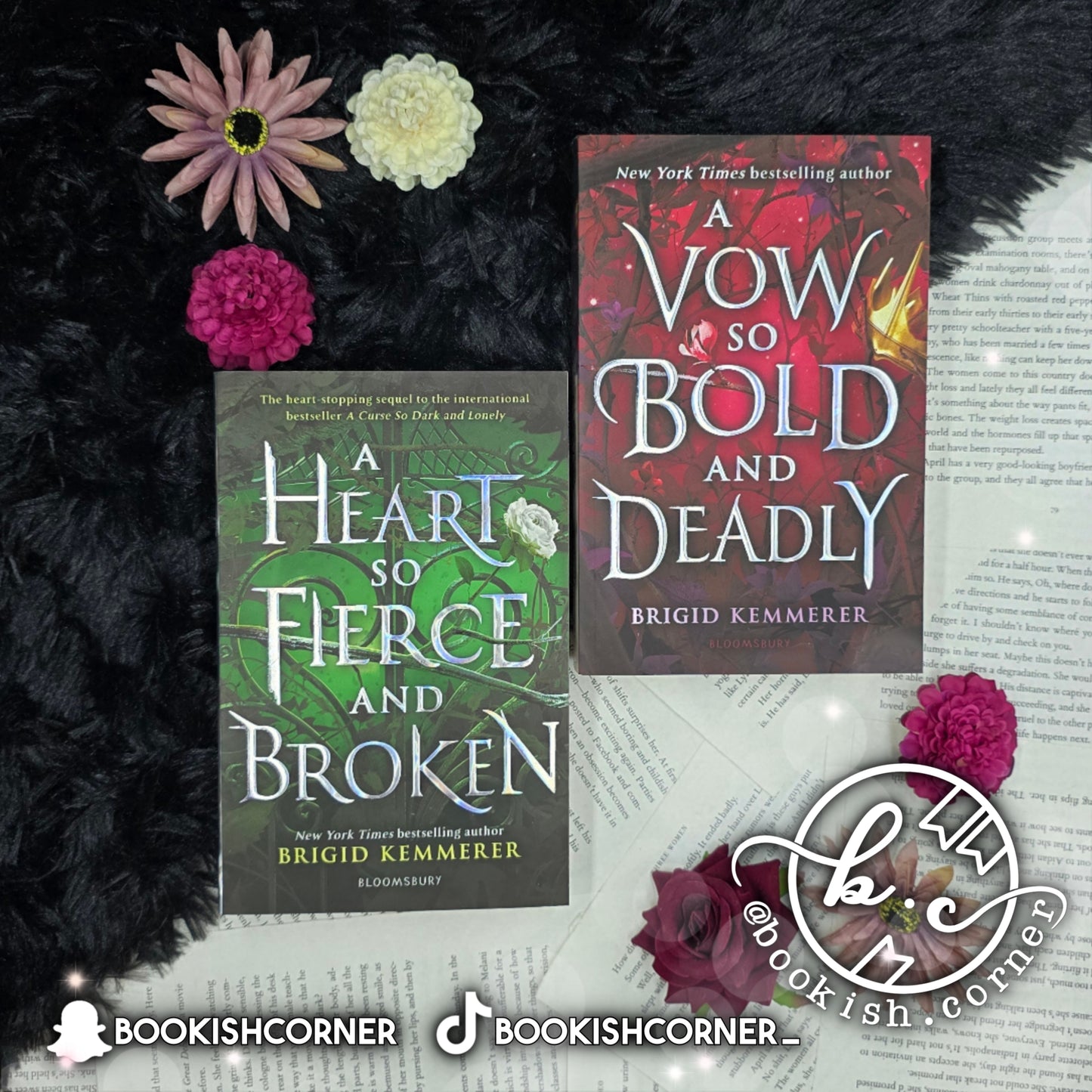 A Curse So Dark And Lonely (set) By Brigid Kemmerer