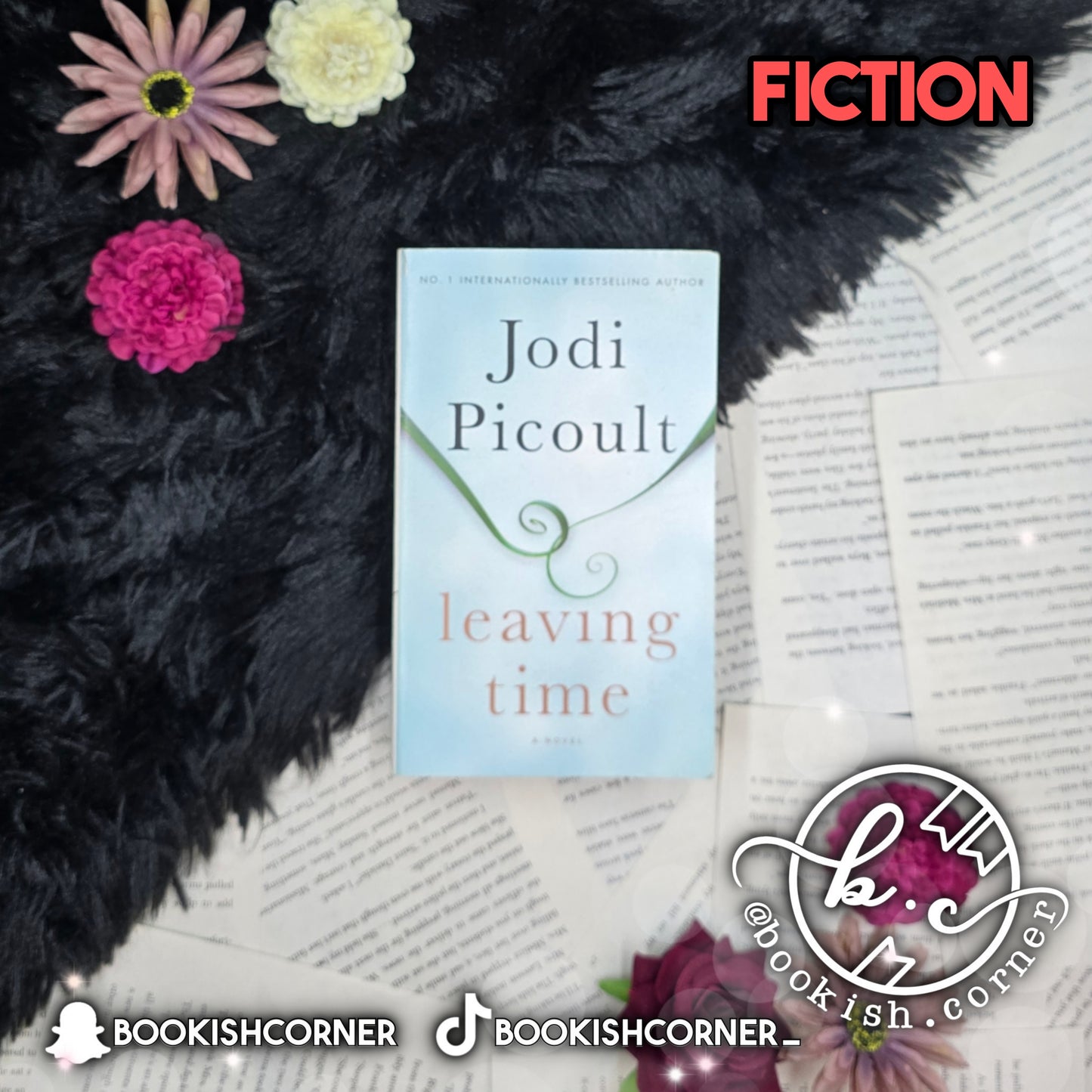 Leaving Time By Jodi Picoult