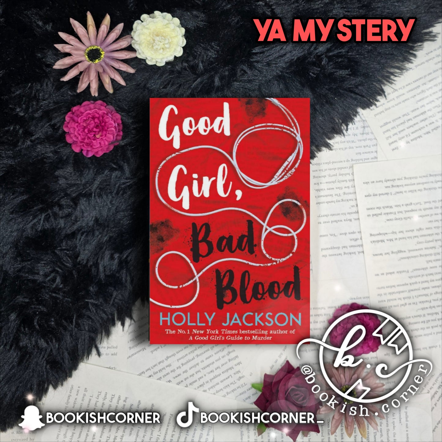 Good Girl, Bad Blood By Holly Jackson