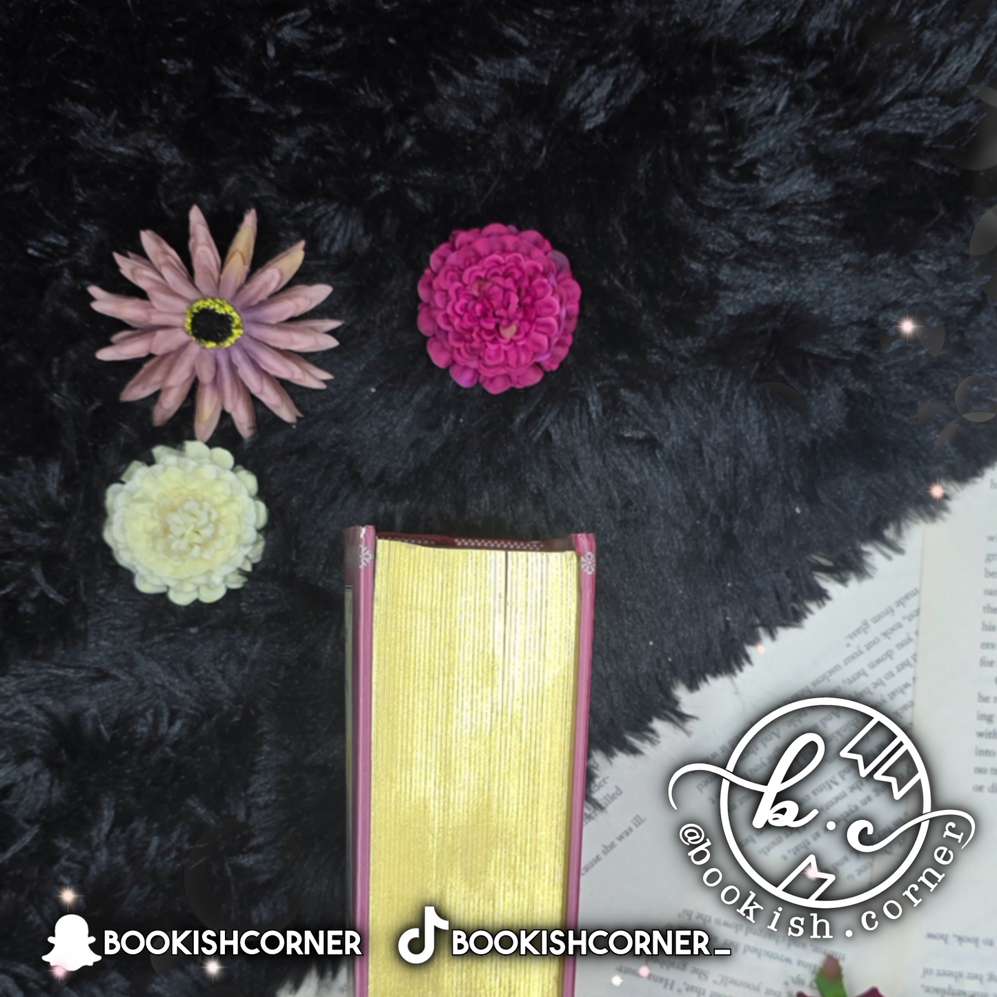 David Copperfield By Charles Dickens