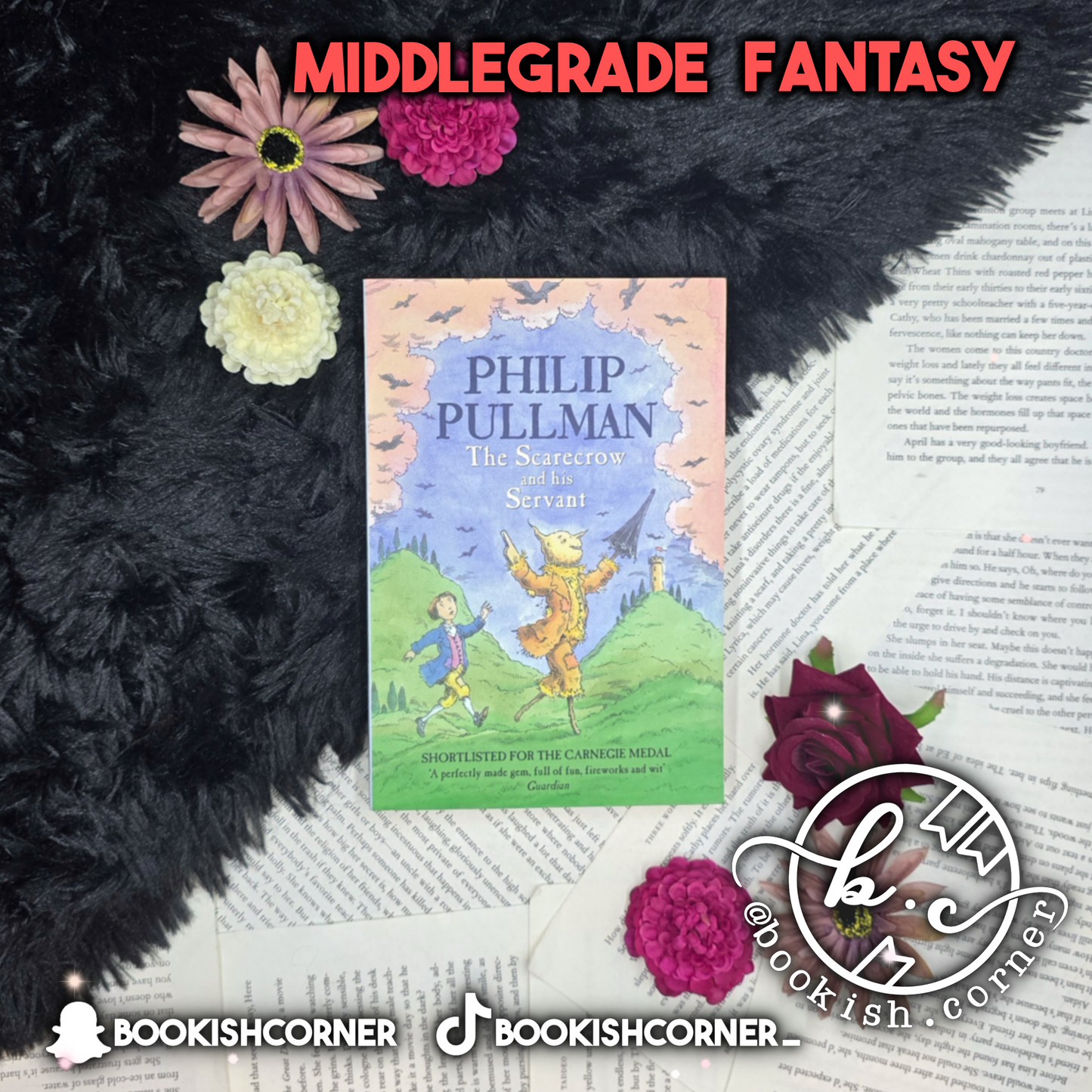 The Scarecrow and His Servant By Philip Pullman