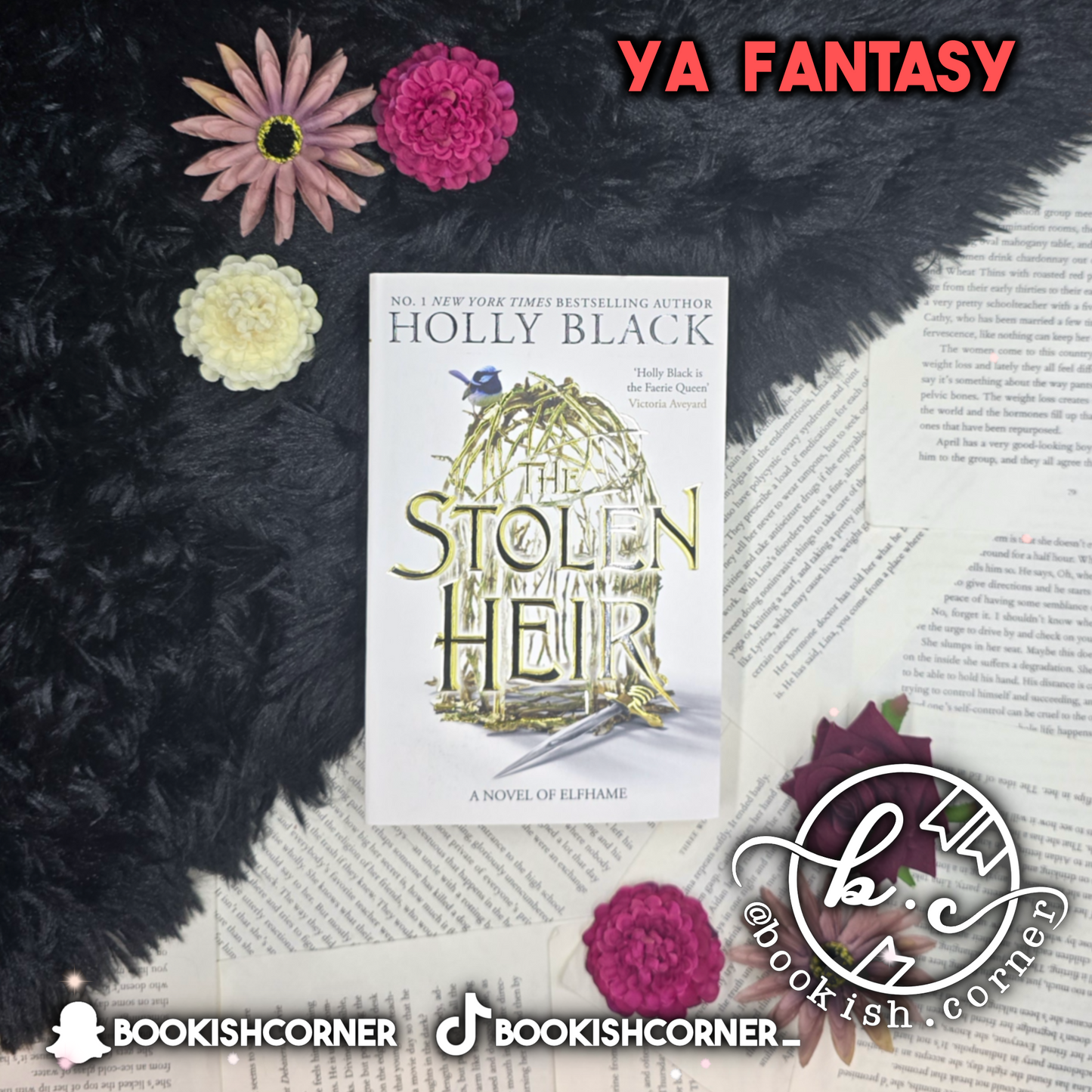 Stolen Heir By Holly Black