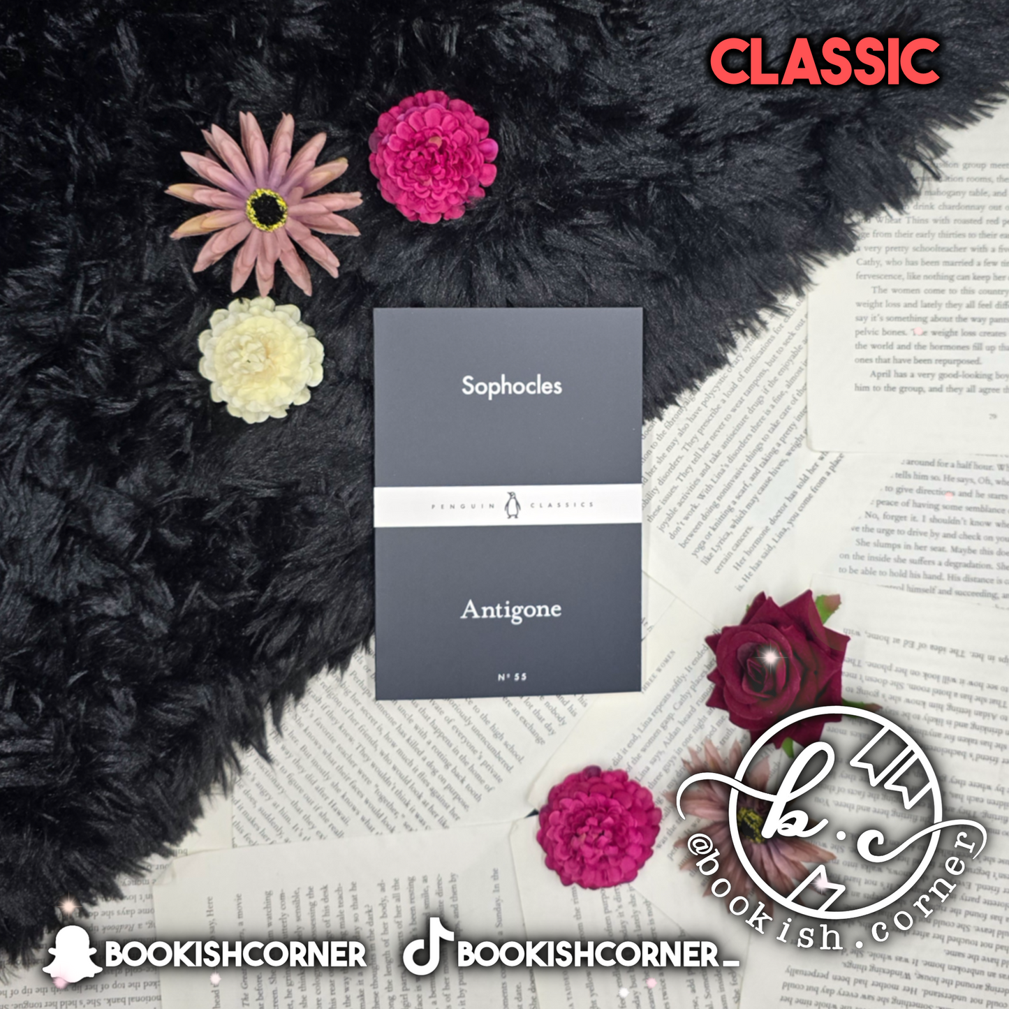 Antigone By Sophocles