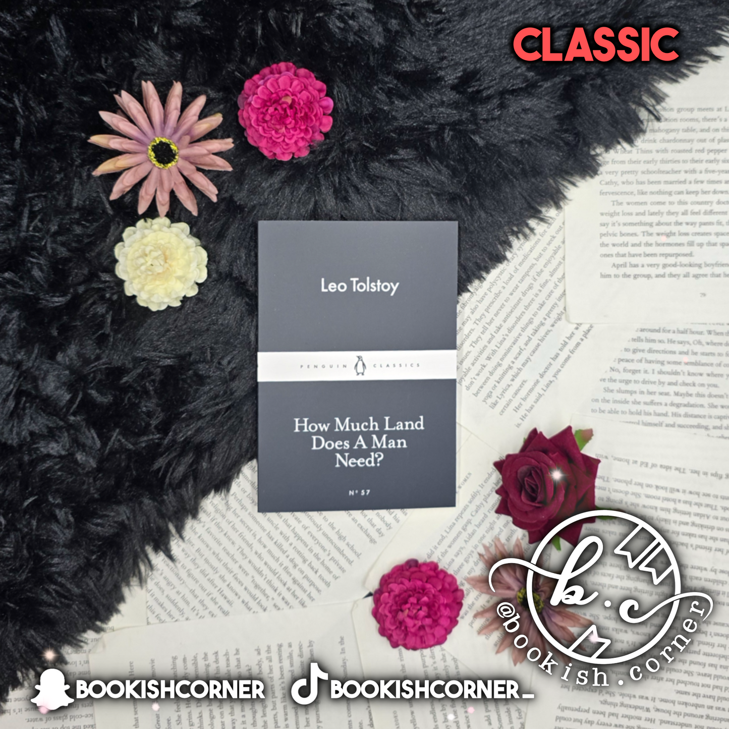 How Much Land Does A Man Need By Leo Tolstoy