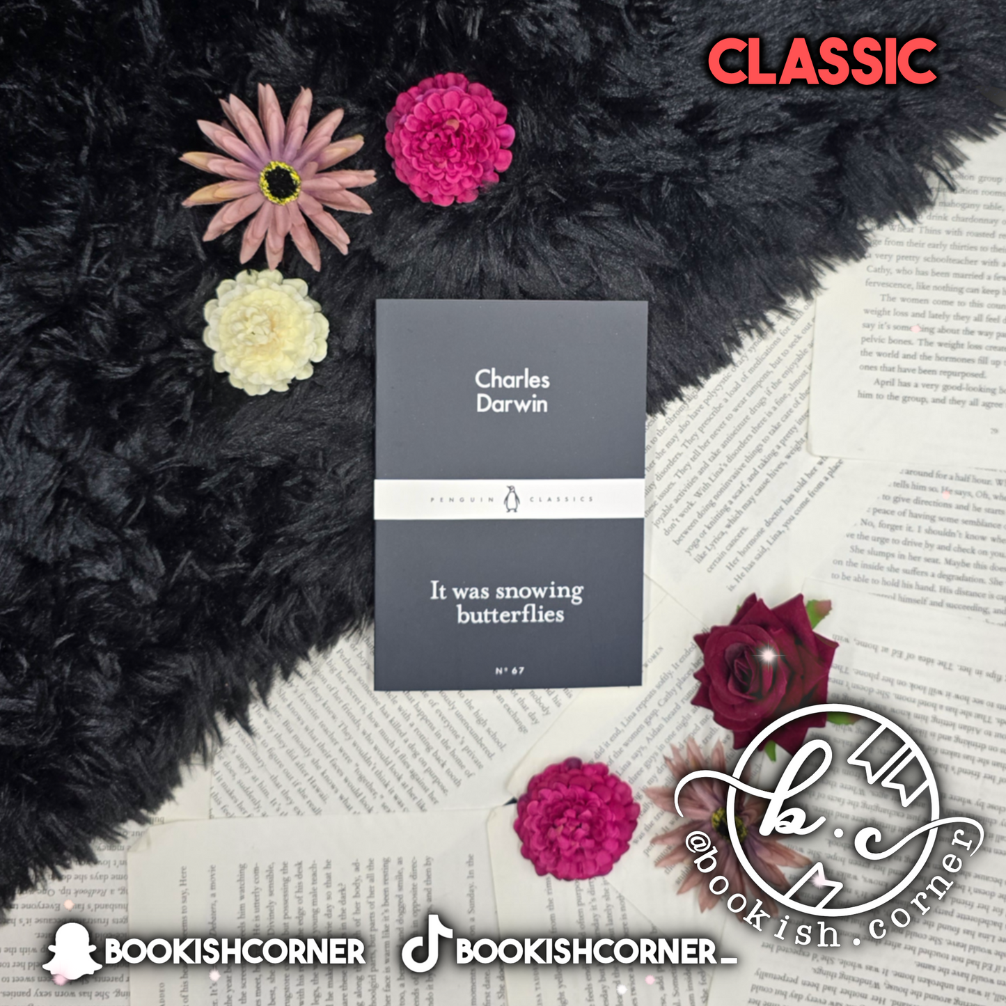 It Was Snowing Butterflies By Charles Darwin