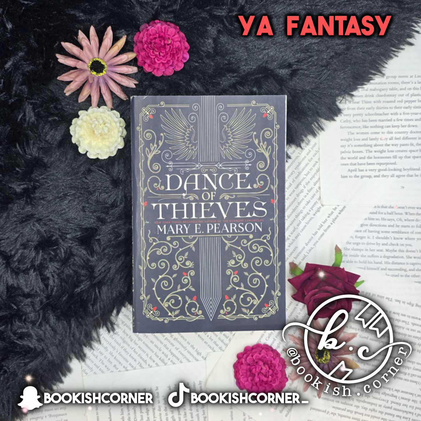 Dance Of Thieves By Mary E Pearson