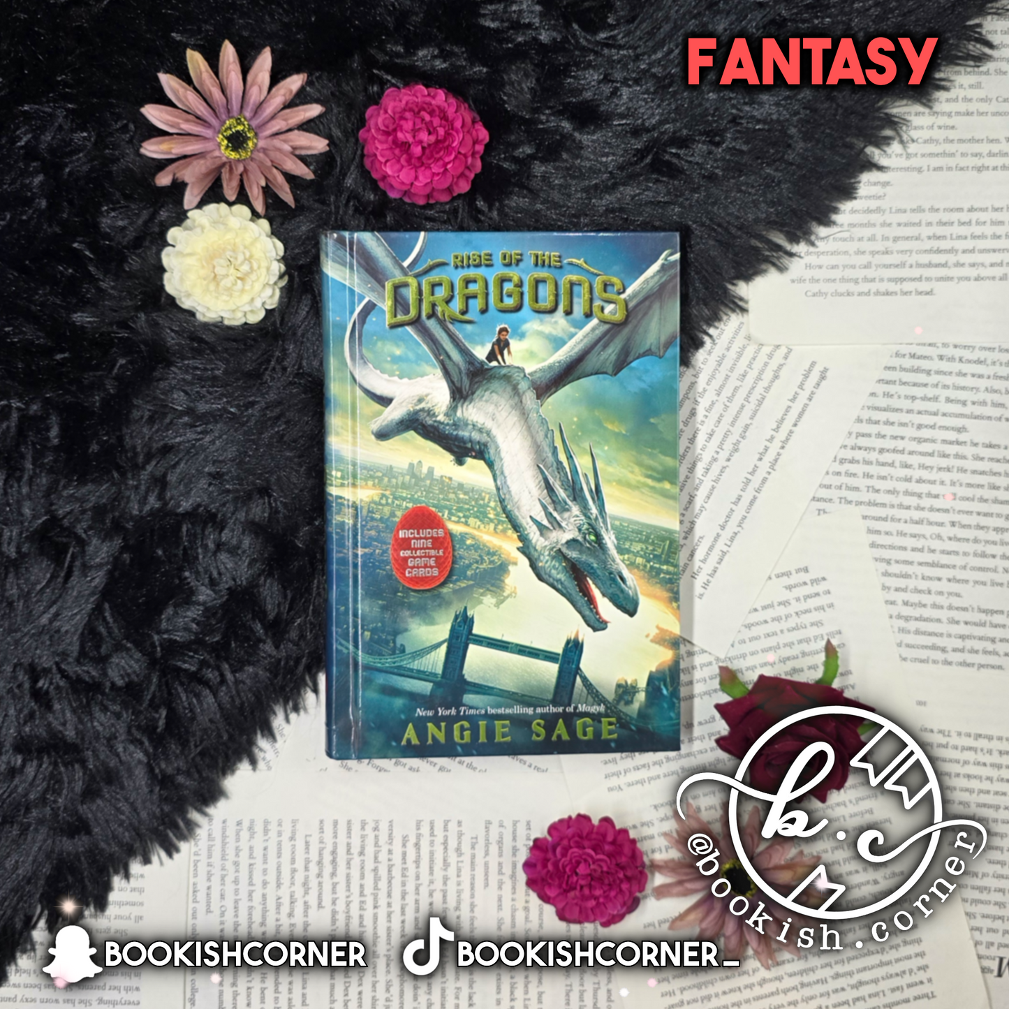 Rise Of The Dragons By Angie Sage