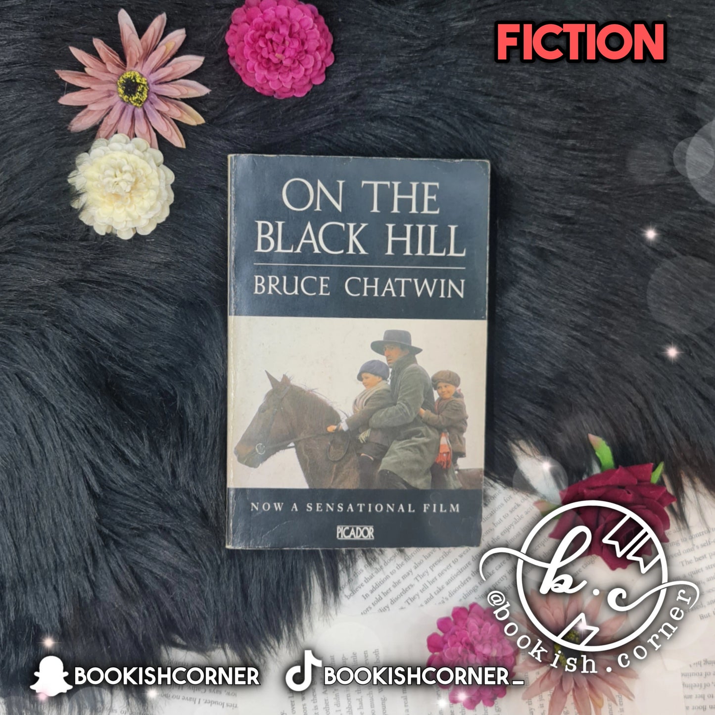 On The Black Hill By Bruce Chatwin